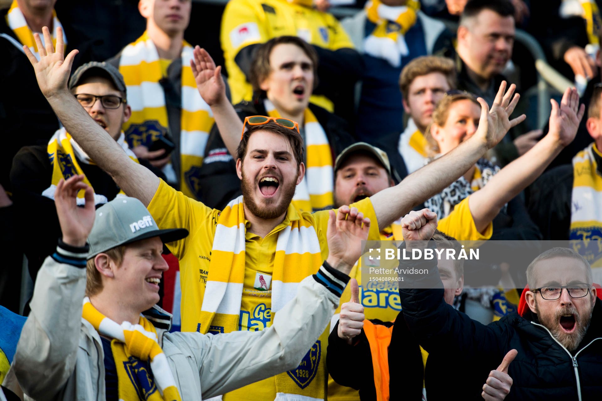 Falkenbergs supportrar jublar