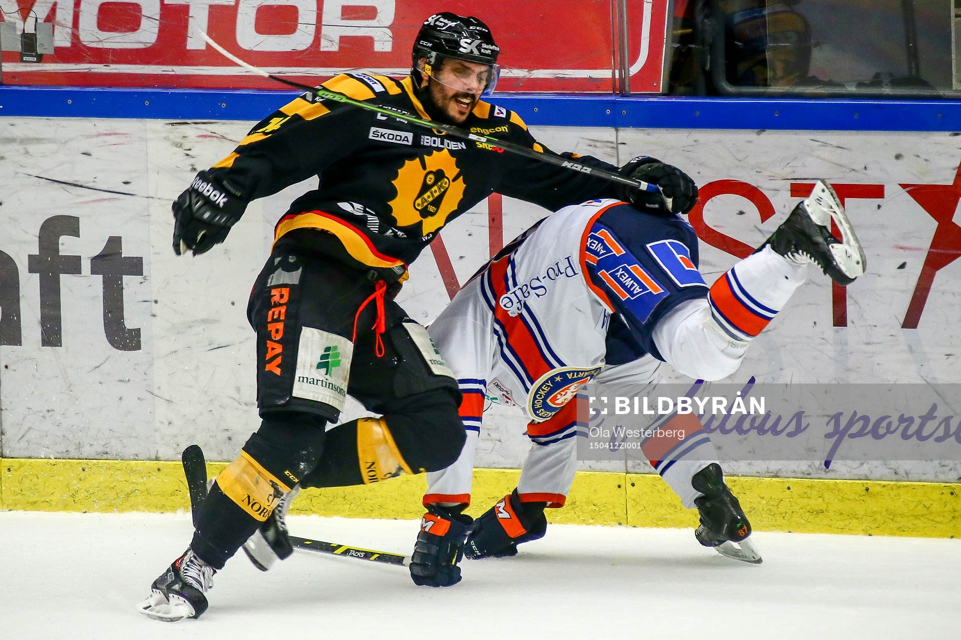 Skellefteås Daniel Widing