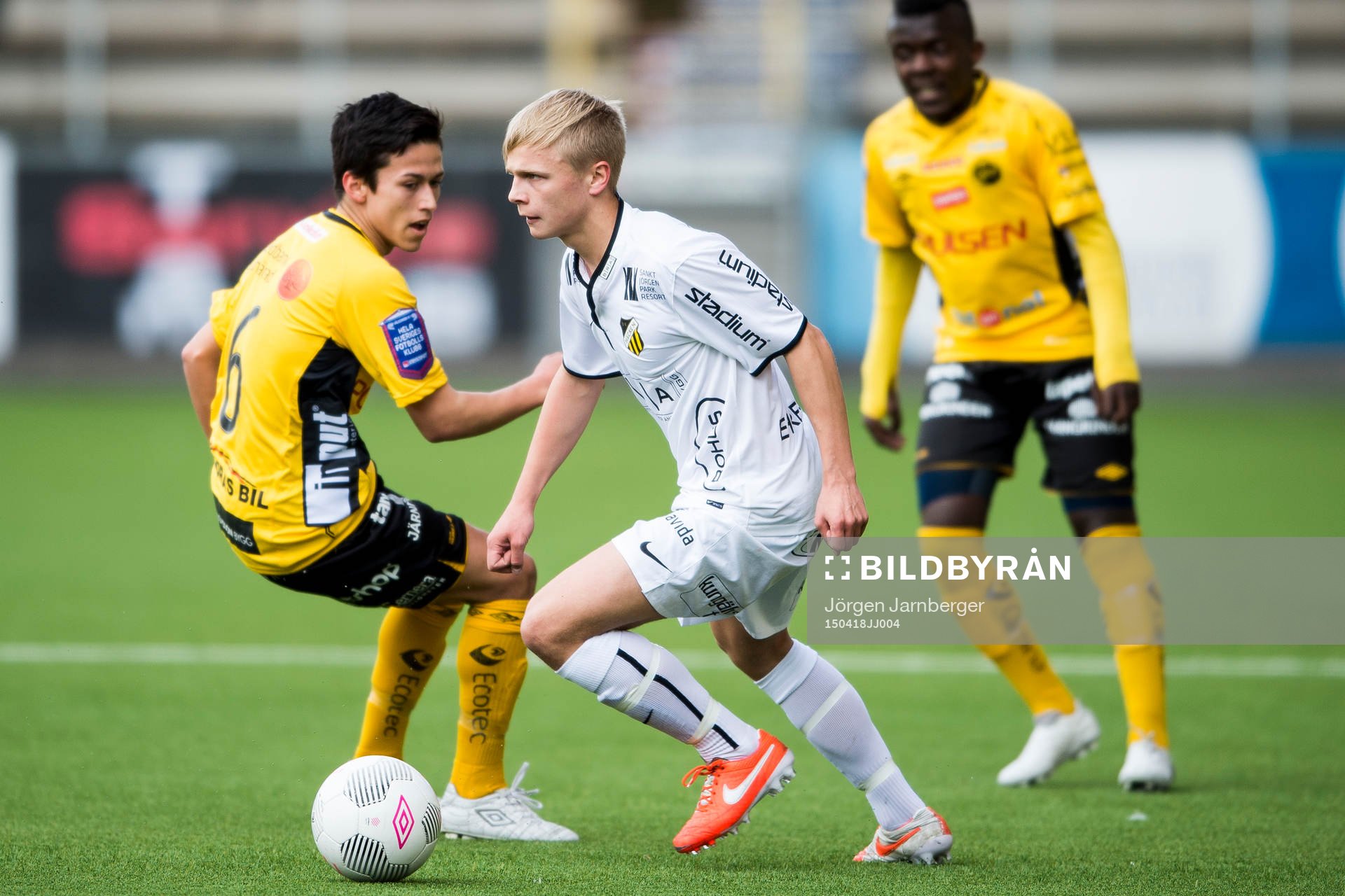 Häckens Albin Falkenby