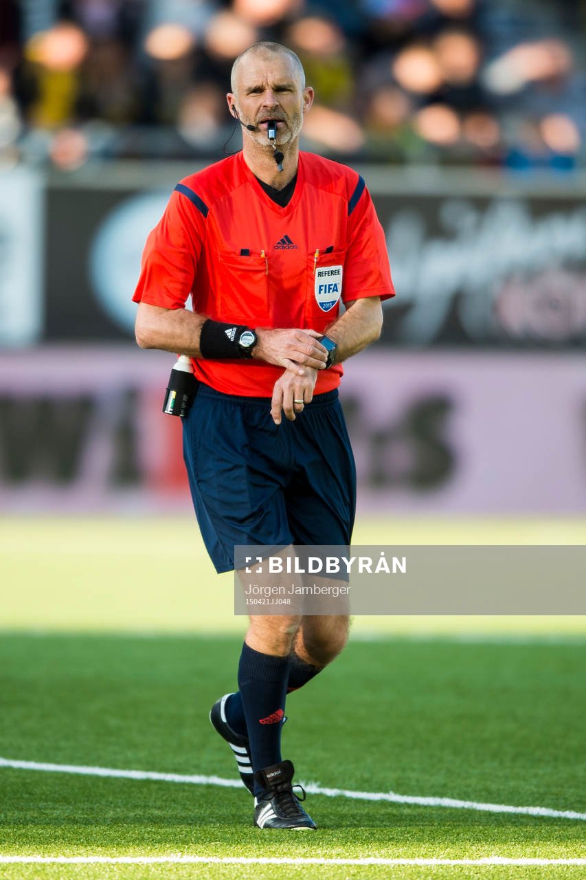 Domaren Michael Lerjeus