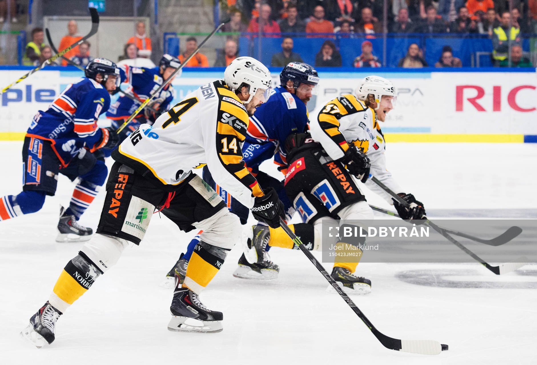Skellefteås Daniel Widing