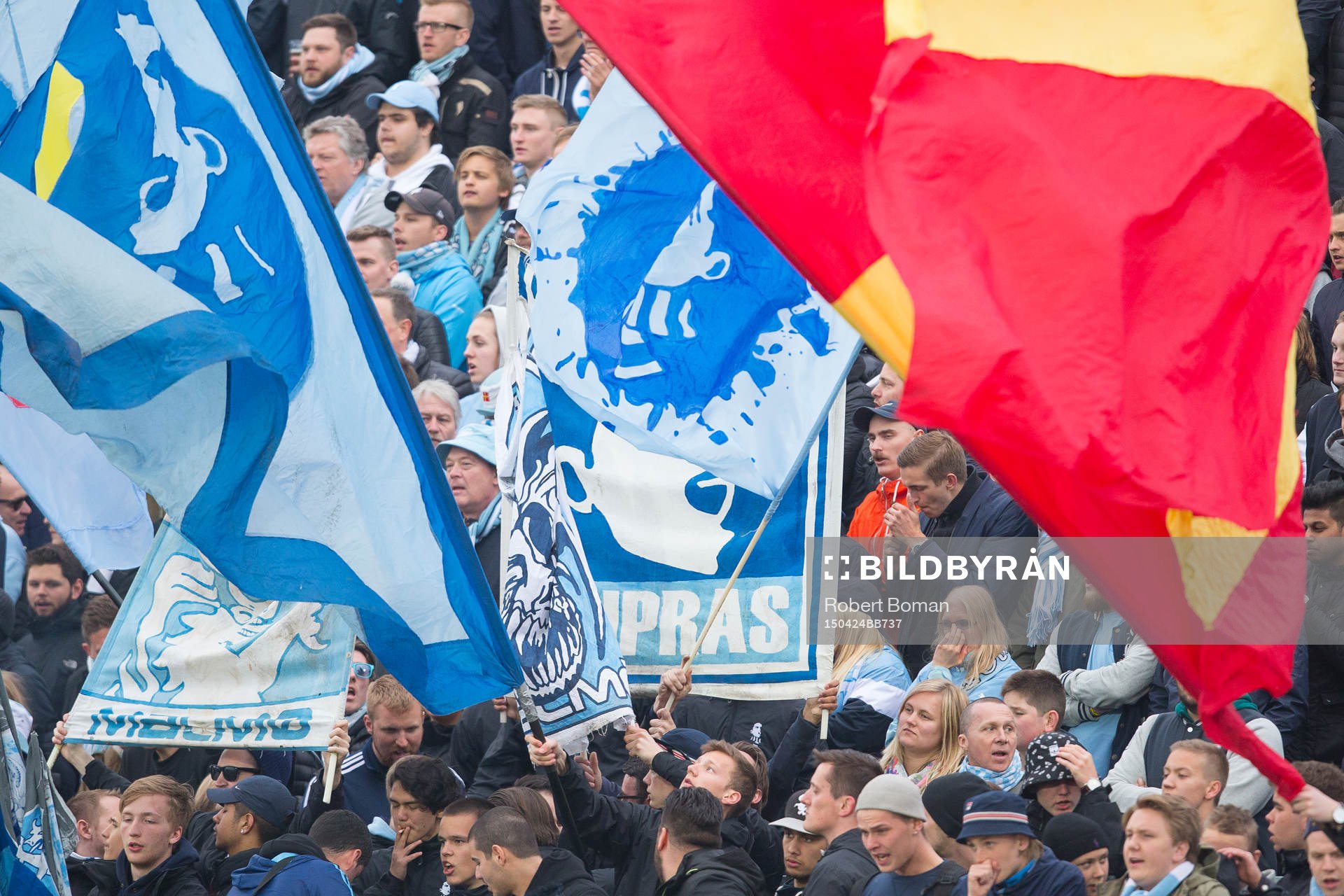 Malmö FFs supportrar