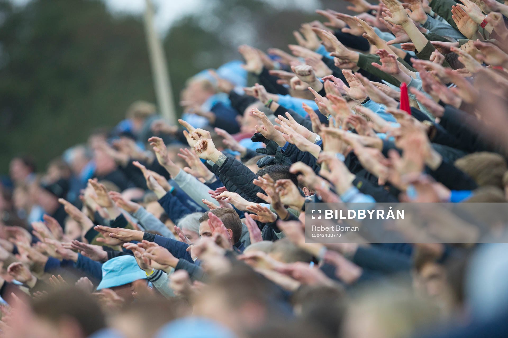 Malmö FFs supportrar