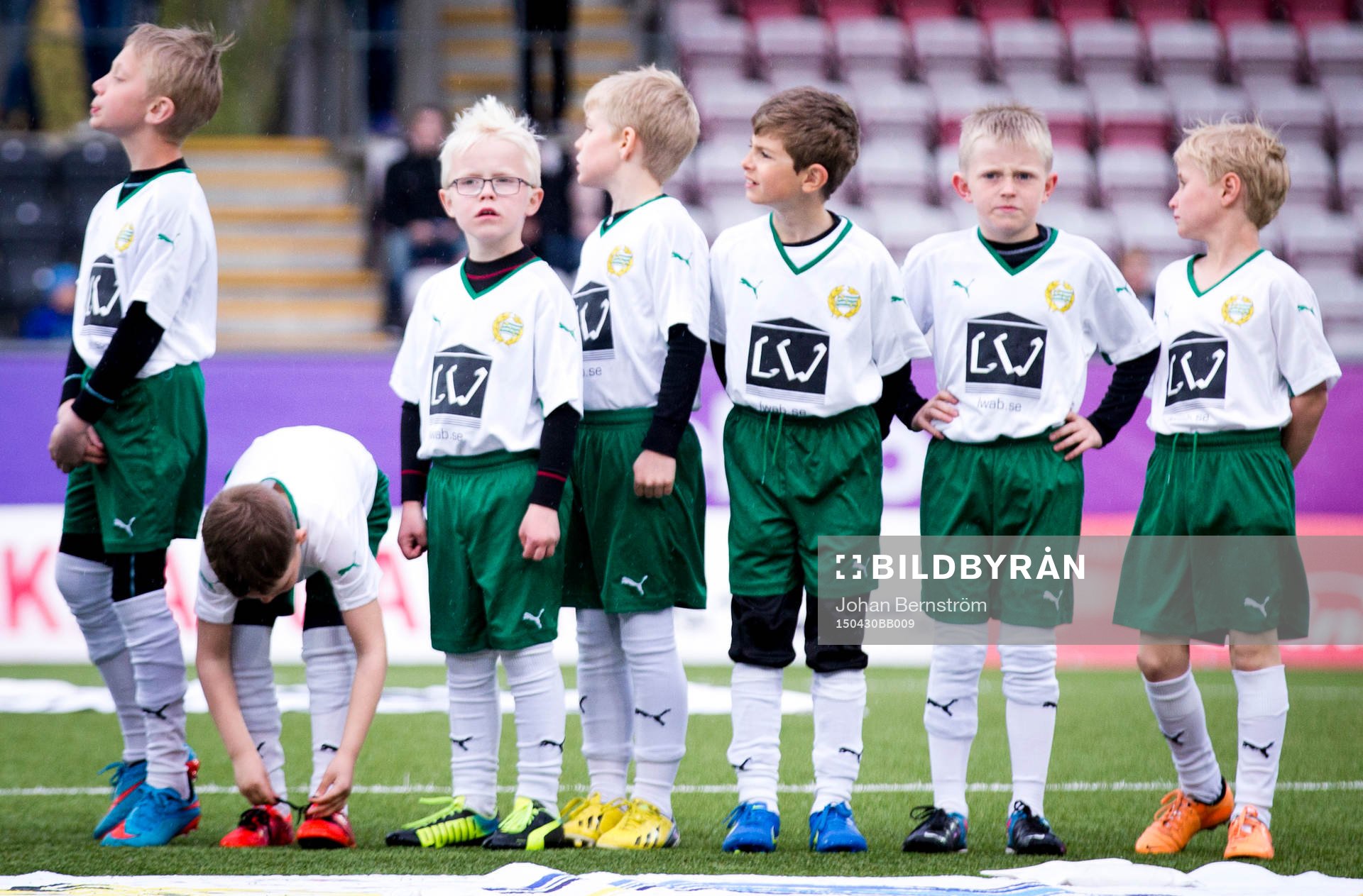 Hammarby knattar