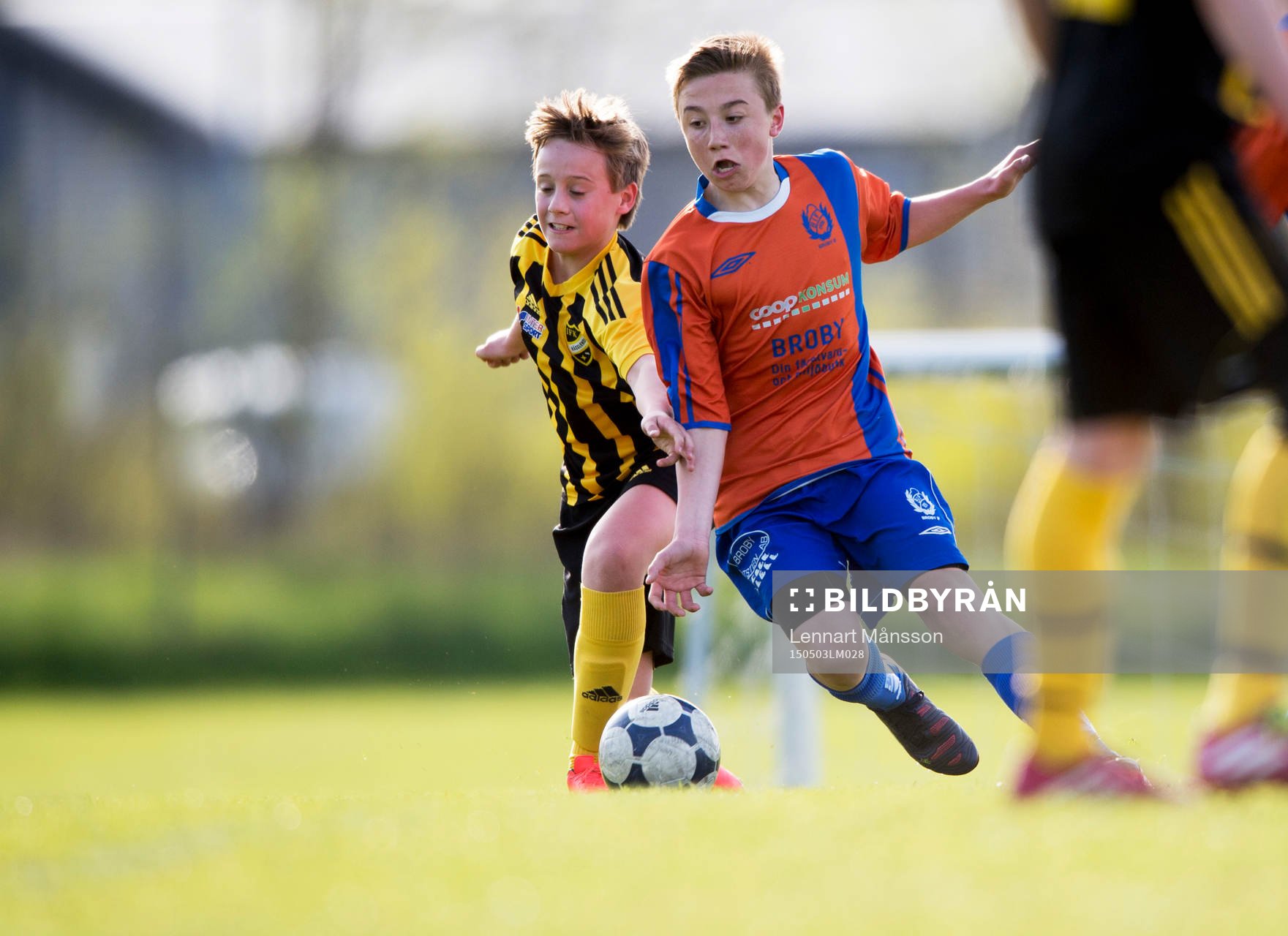 i matchen i pojkar födda 2002 mellan IFK Hässleholm och