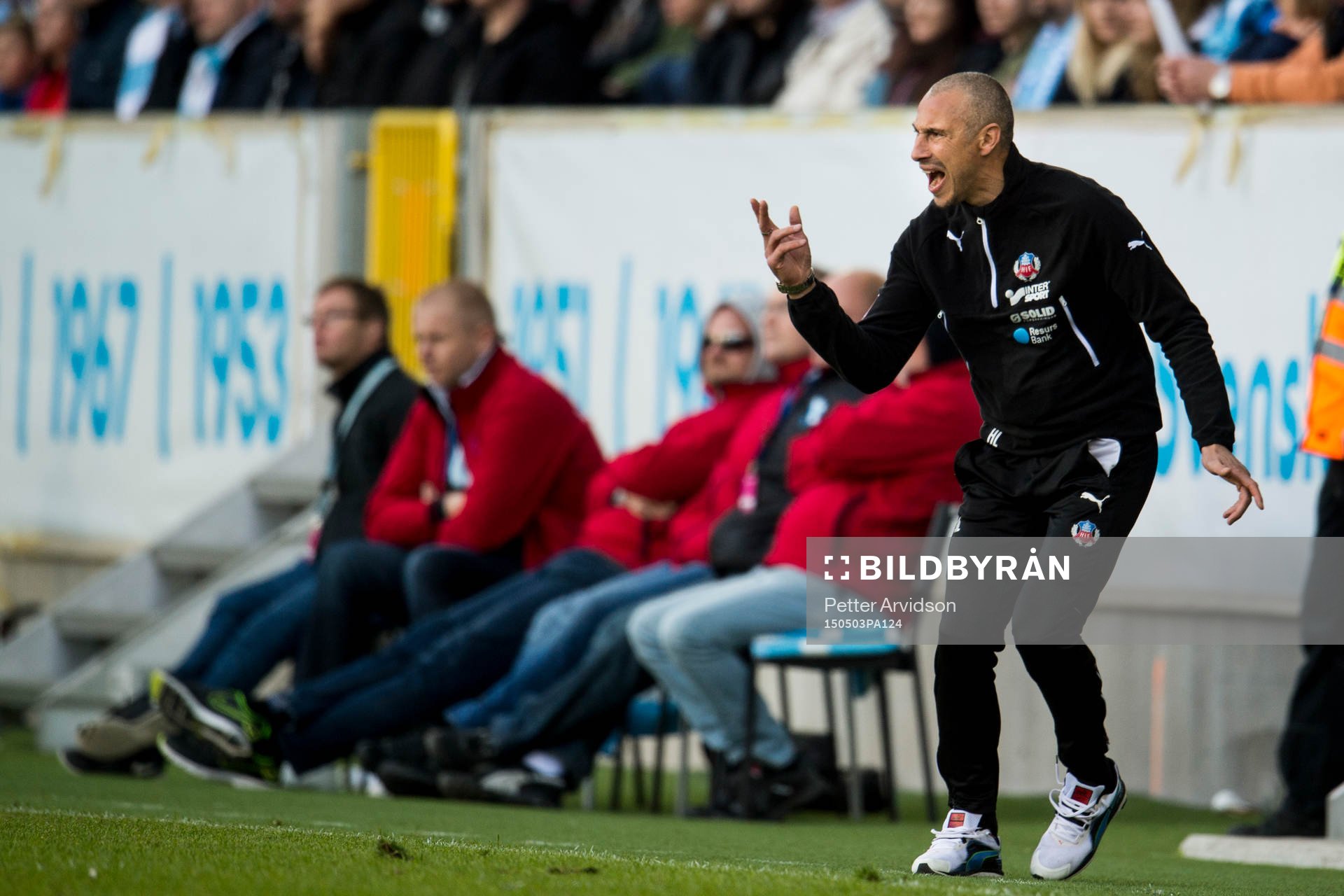 Helsingborgs manager Henrik Larsson