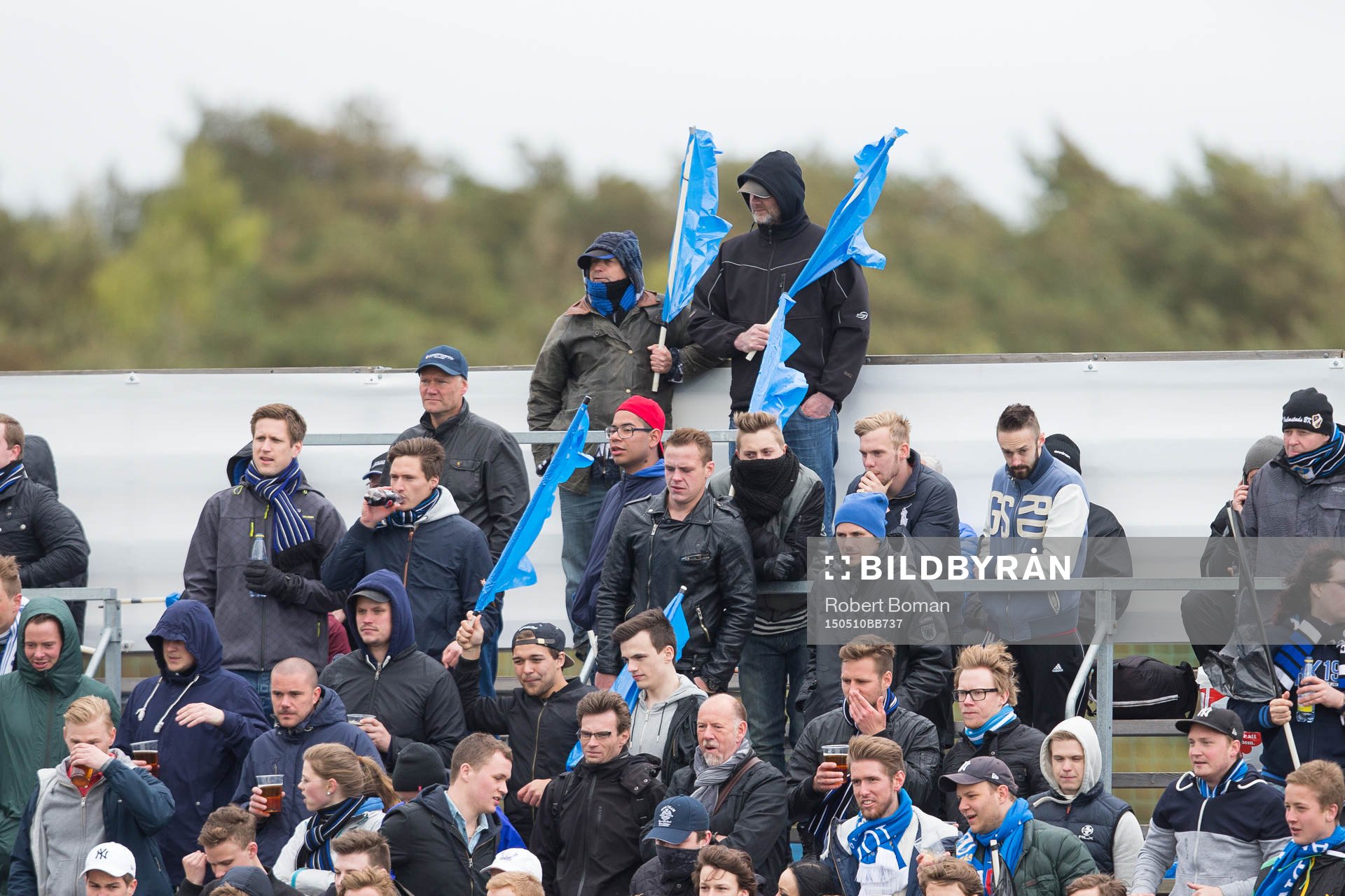 Halmstads fans