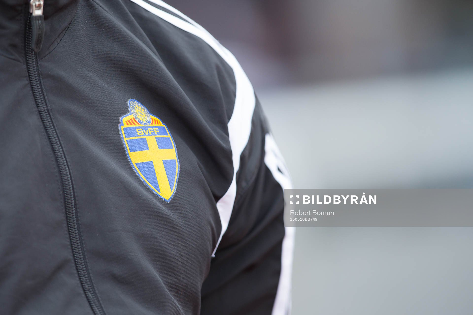 Svenska fotbollsförbundets emblem