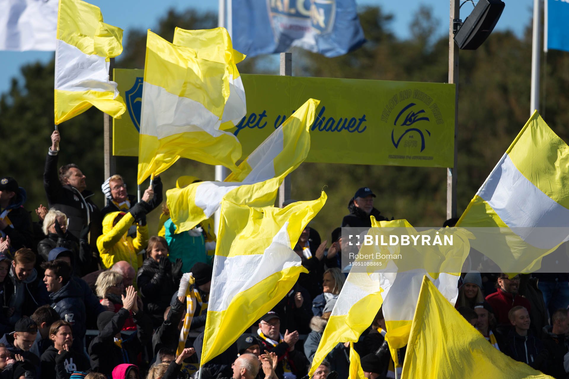 Falkenbergs klacken under fotbollsmatchen i Allsvenskan mellan Falkenbergs FF och Halmstads BK den 10 maj 2015 i Falkenberg.