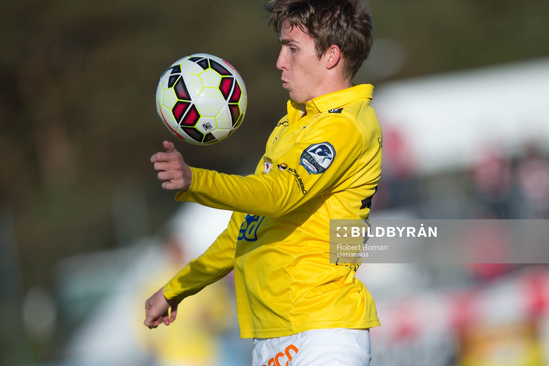 Falkenbergs Adam Eriksson