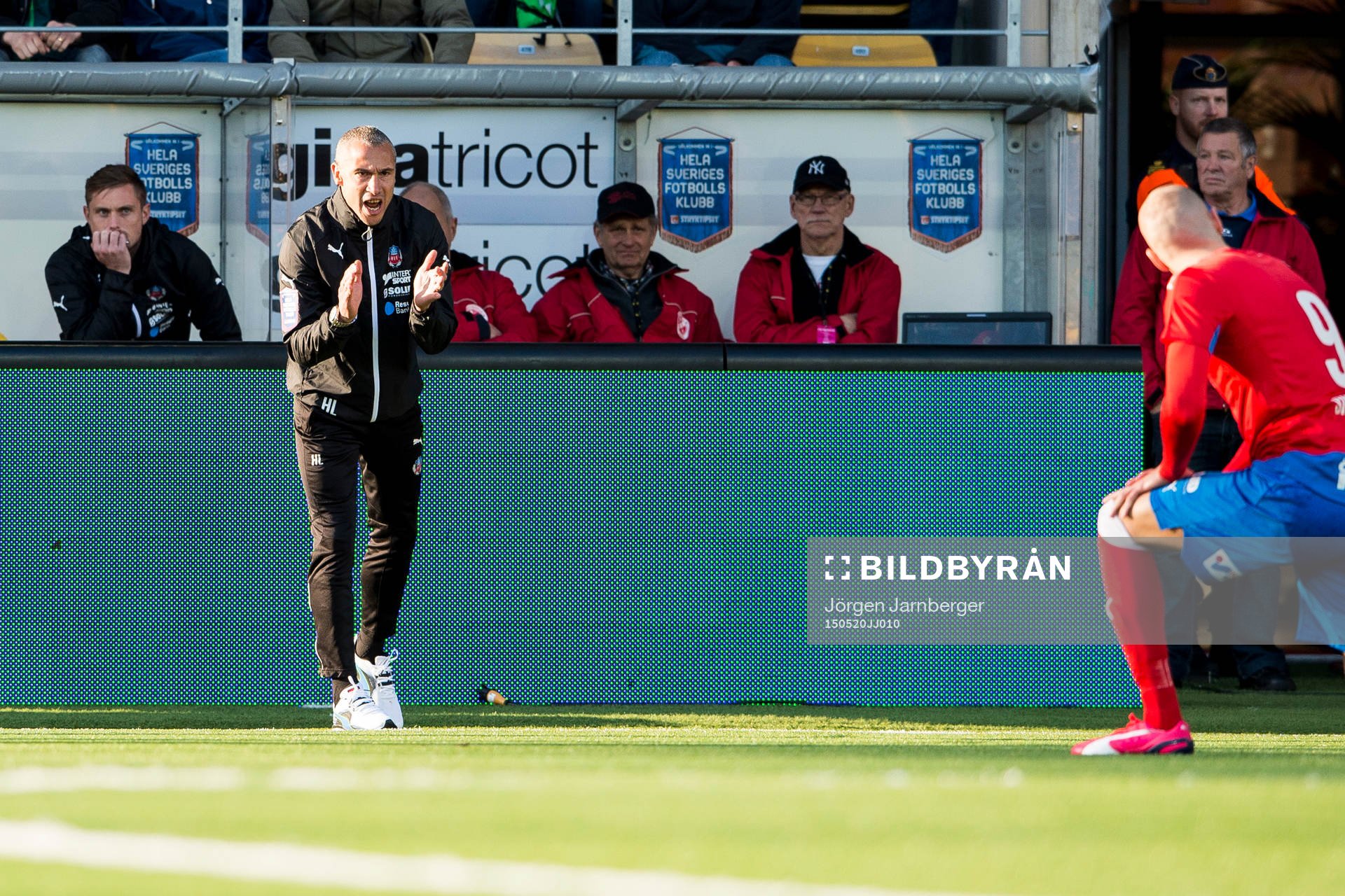 Helsingborgs manager Henrik Larsson