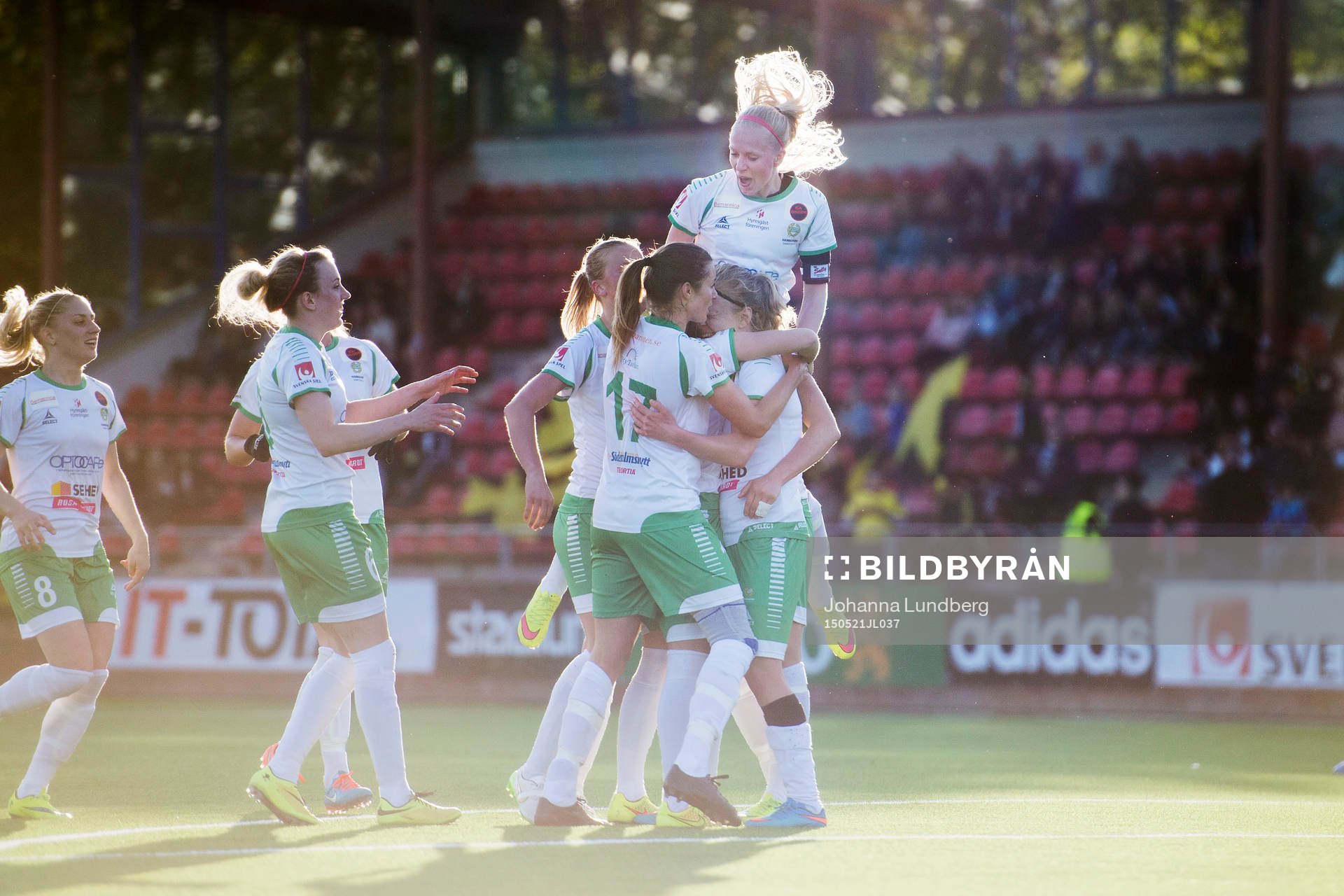 Hammarbys spelare jublar