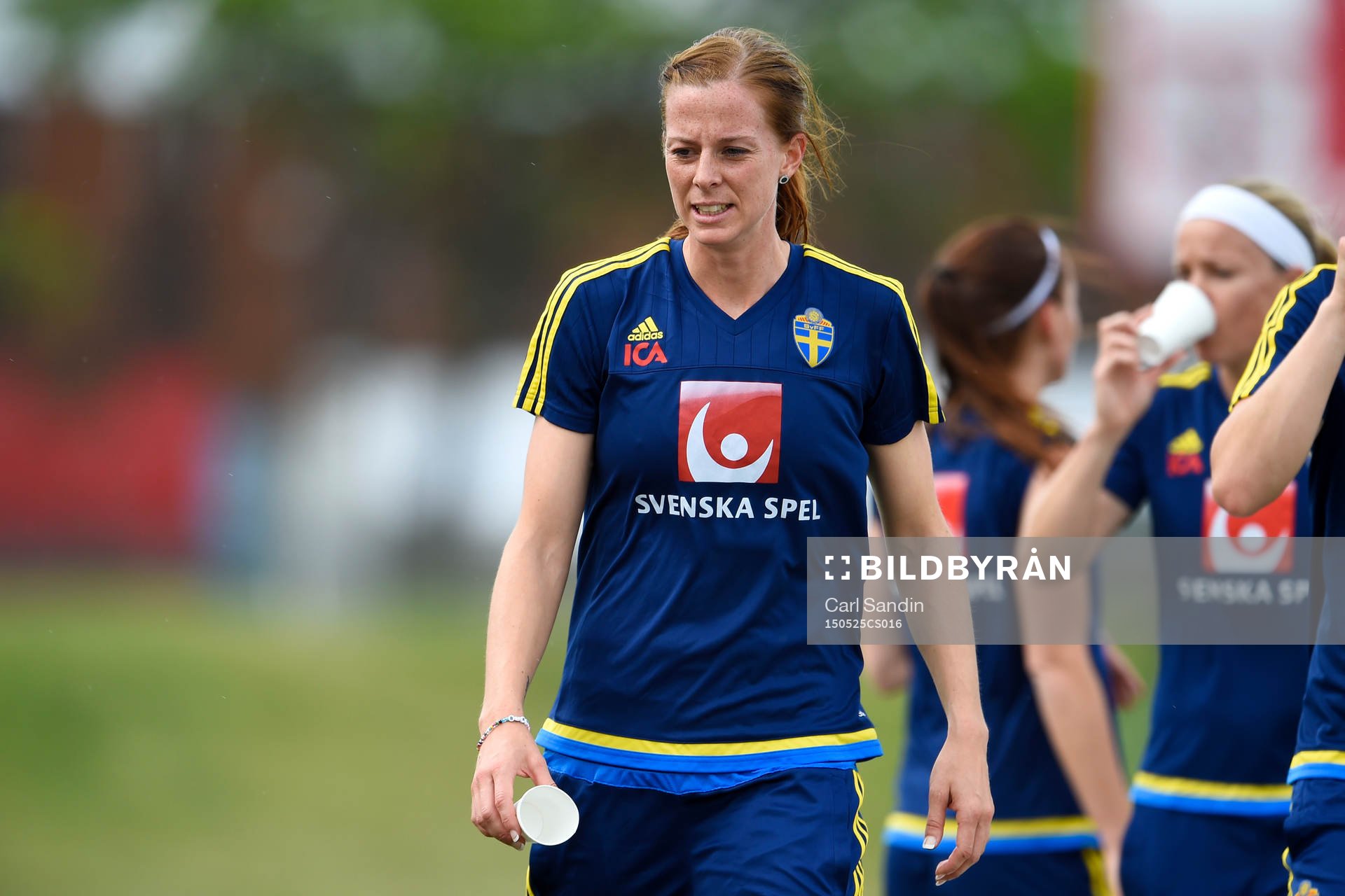 Lotta Schelin