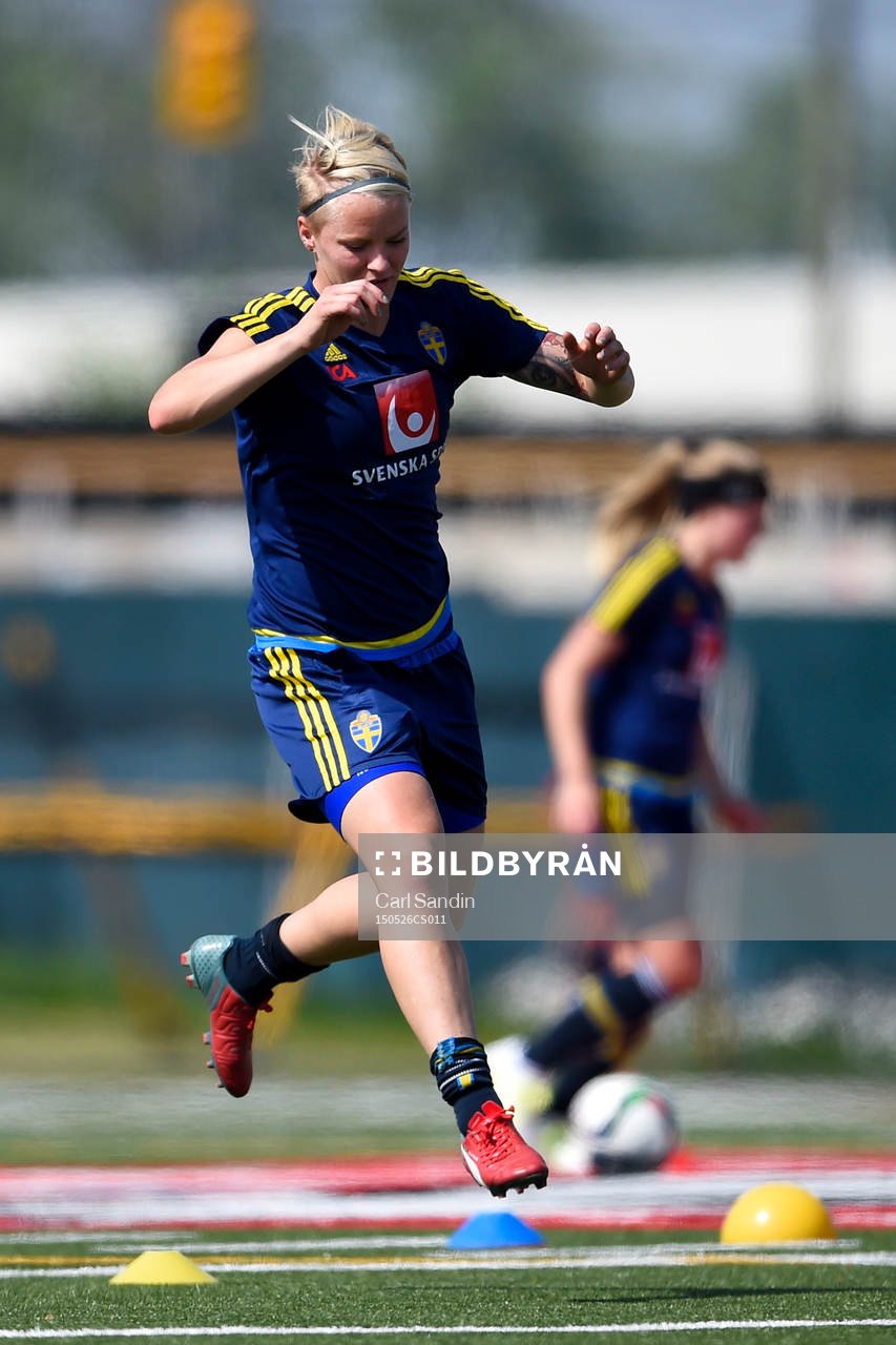 Sveriges Nilla Fischer