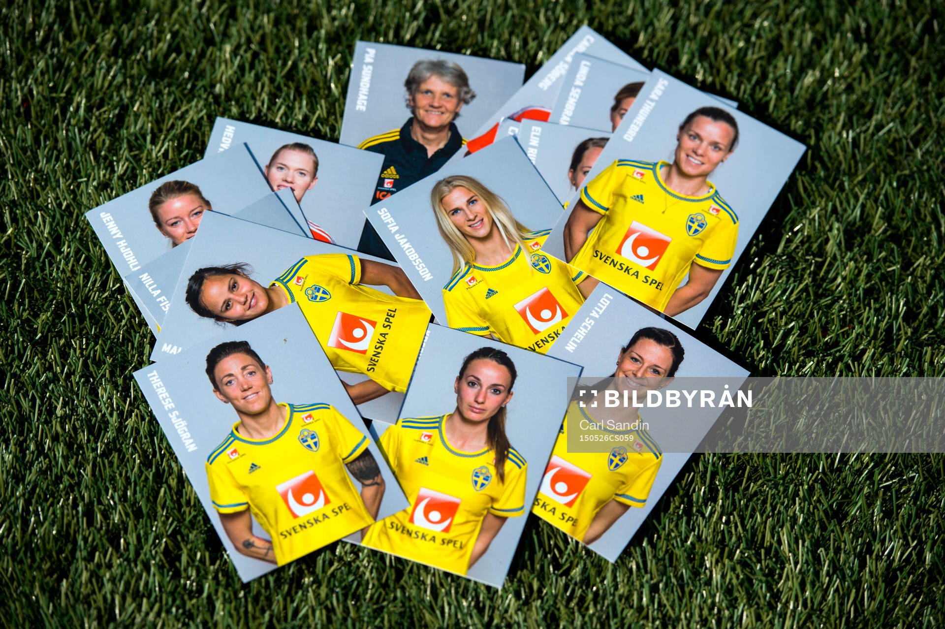 Idolbilder på de svenska spelarna ligger på konstgräset