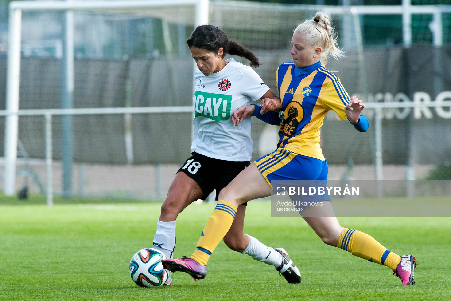 Hittarps Sheva Othman  Rostam
