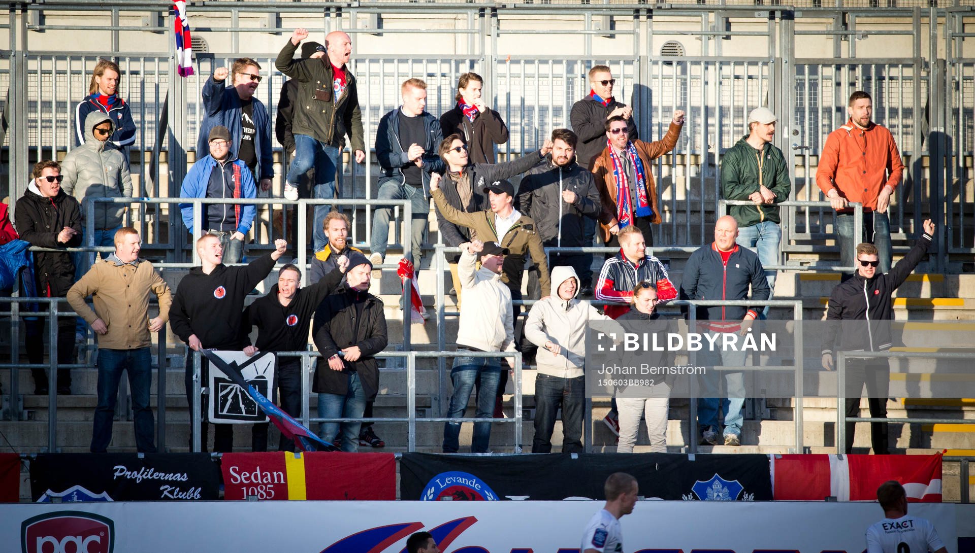 Helsingborgs supportrar