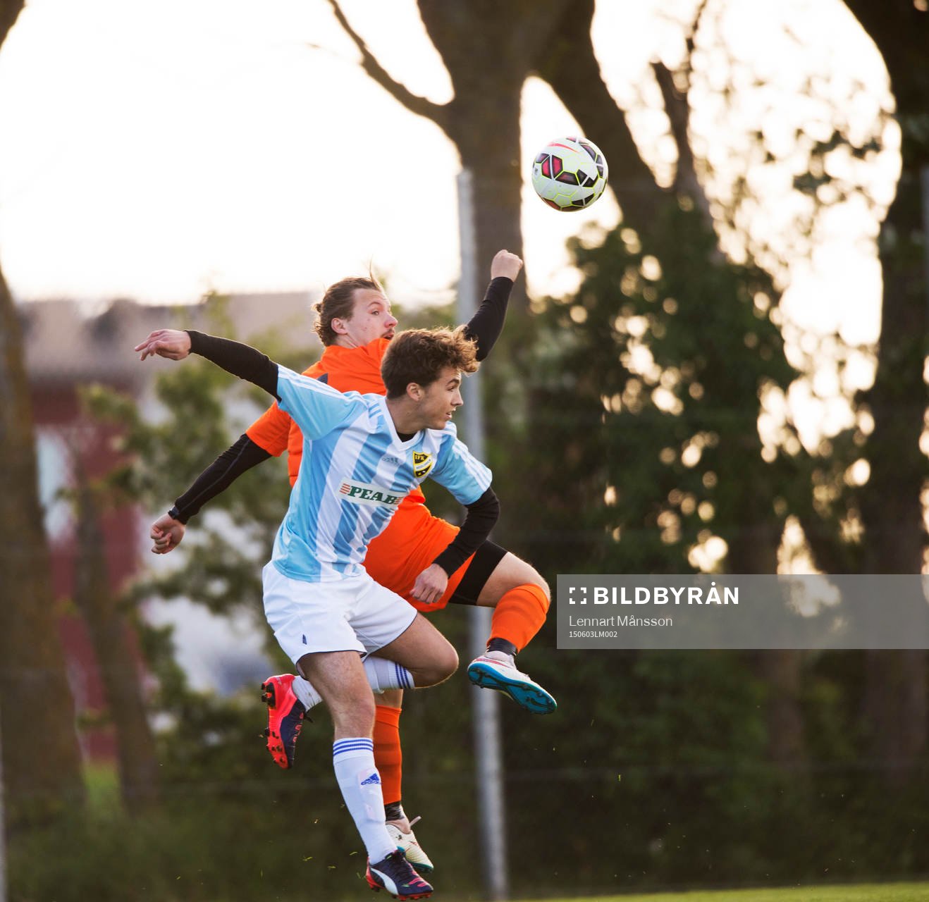 IFK Hässleholms Anton Pramberg