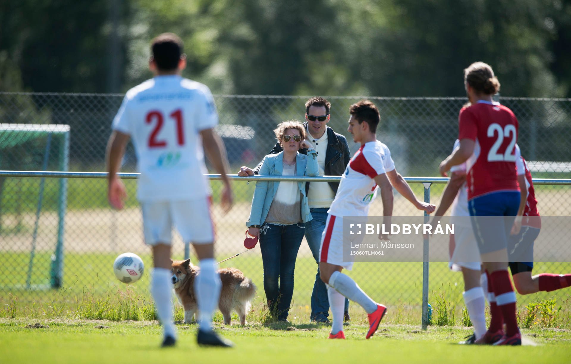 Åskådare med hund i matchen i division 2 Västra