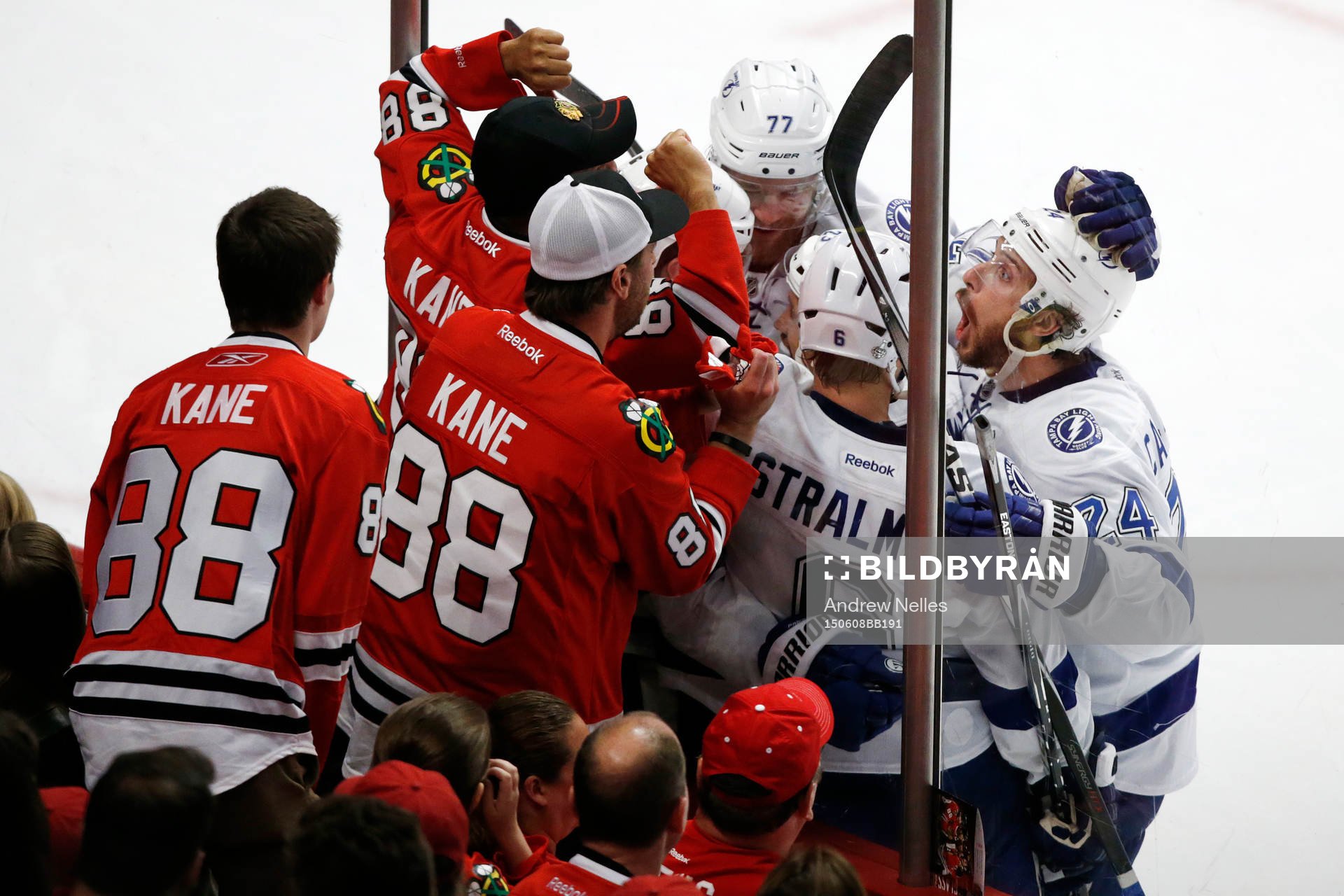 Tampa Bay Lightning players celebrate