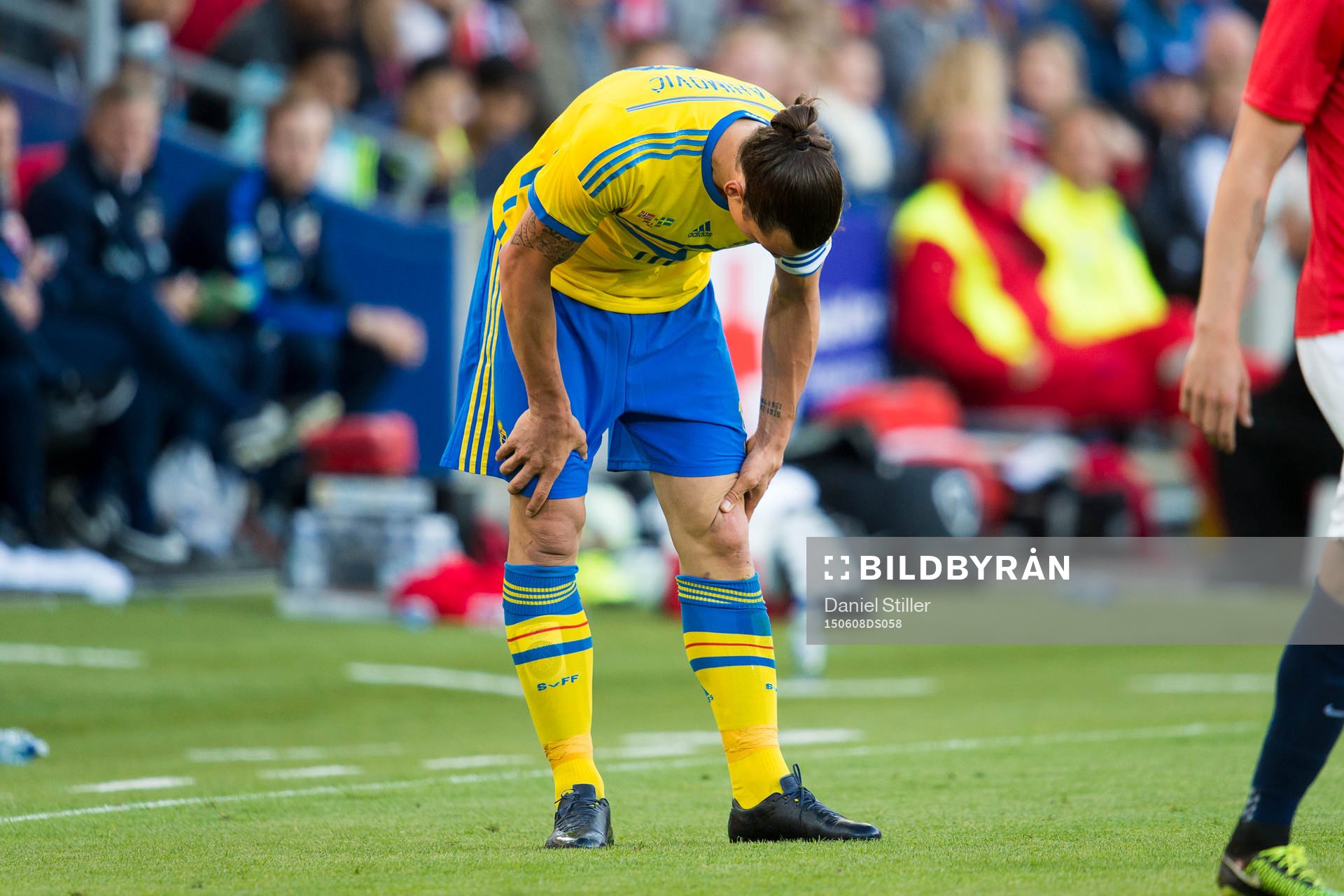 Sveriges Zlatan Ibrahimovic tar sig för knät