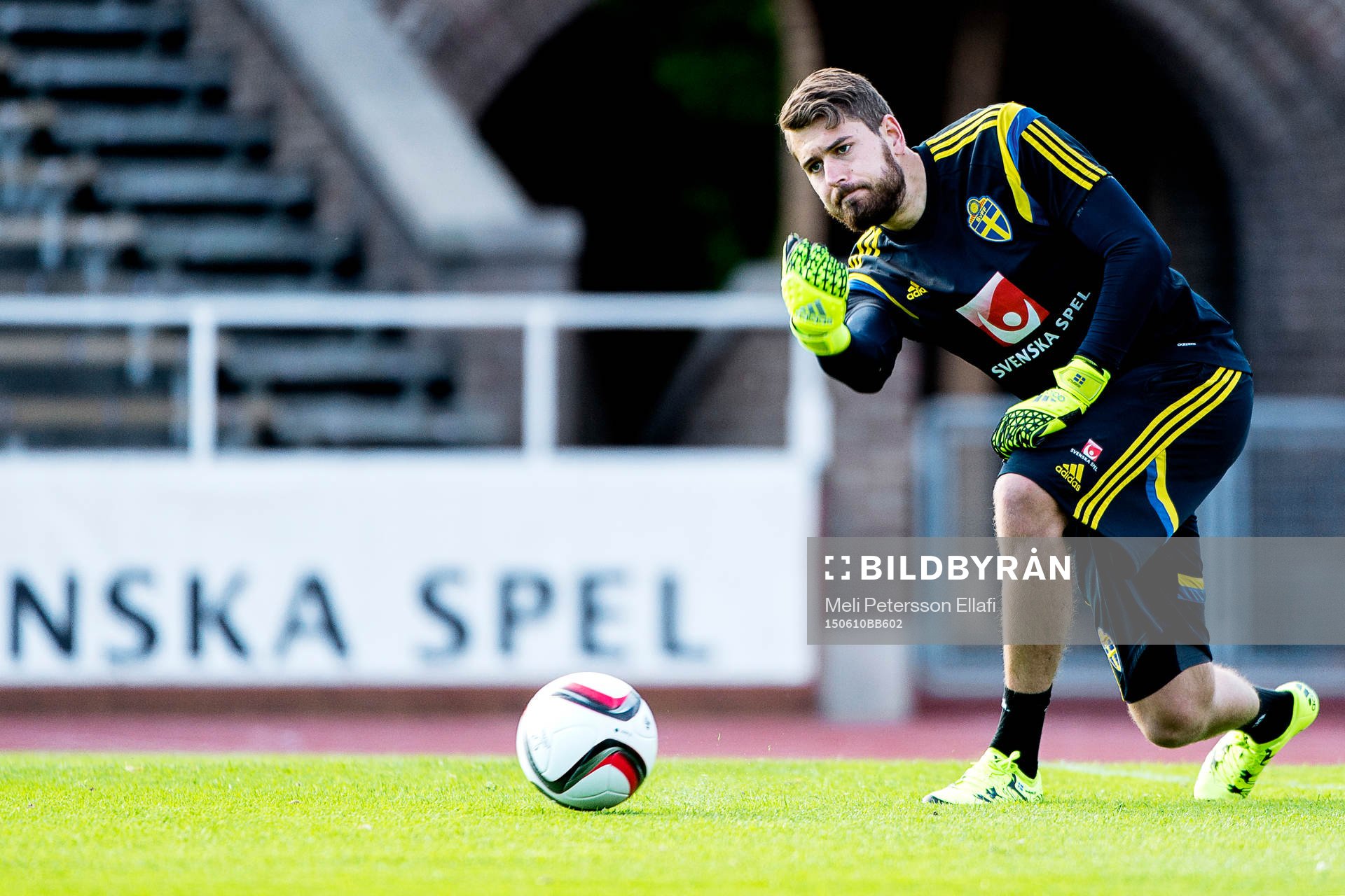 Sveriges målvakt Kristoffer Nordfeldt