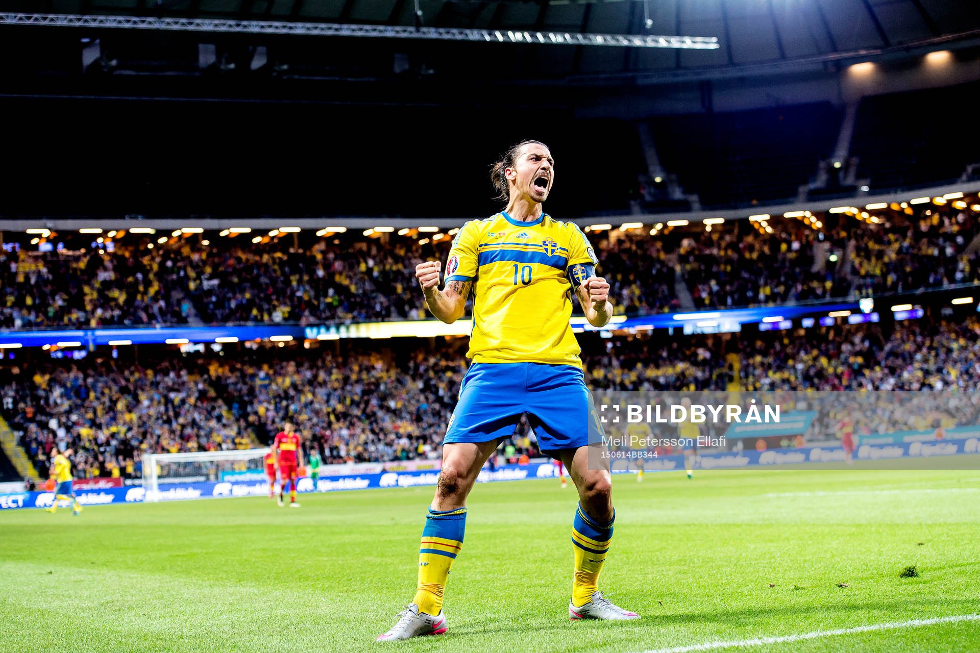 Sveriges Zlatan Ibrahimovic jublar