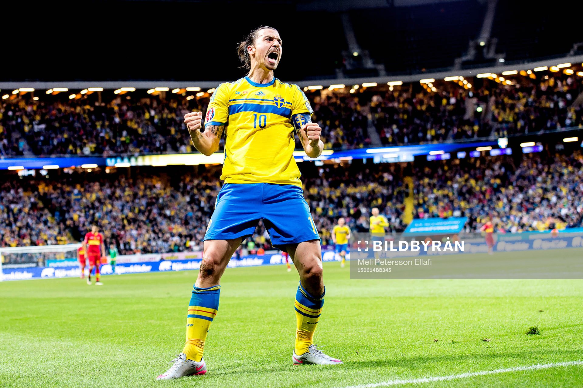 Sveriges Zlatan Ibrahimovic jublar
