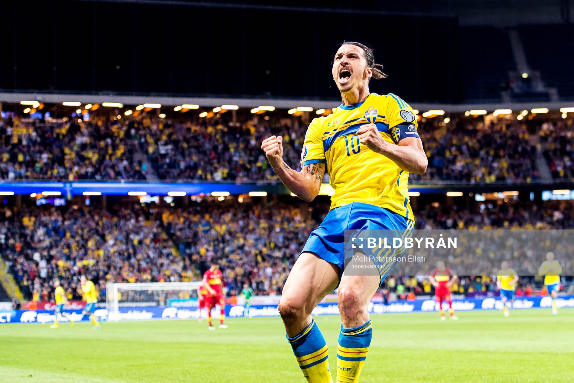 Sveriges Zlatan Ibrahimovic jublar
