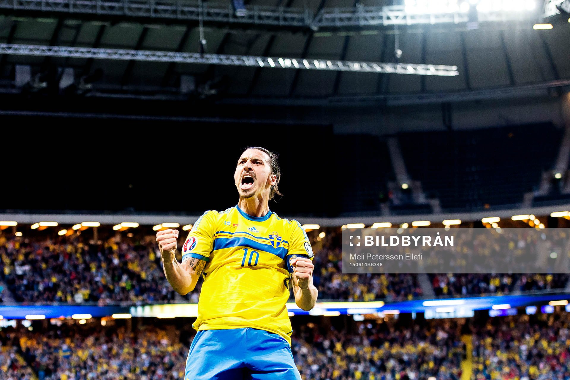 Sveriges Zlatan Ibrahimovic jublar
