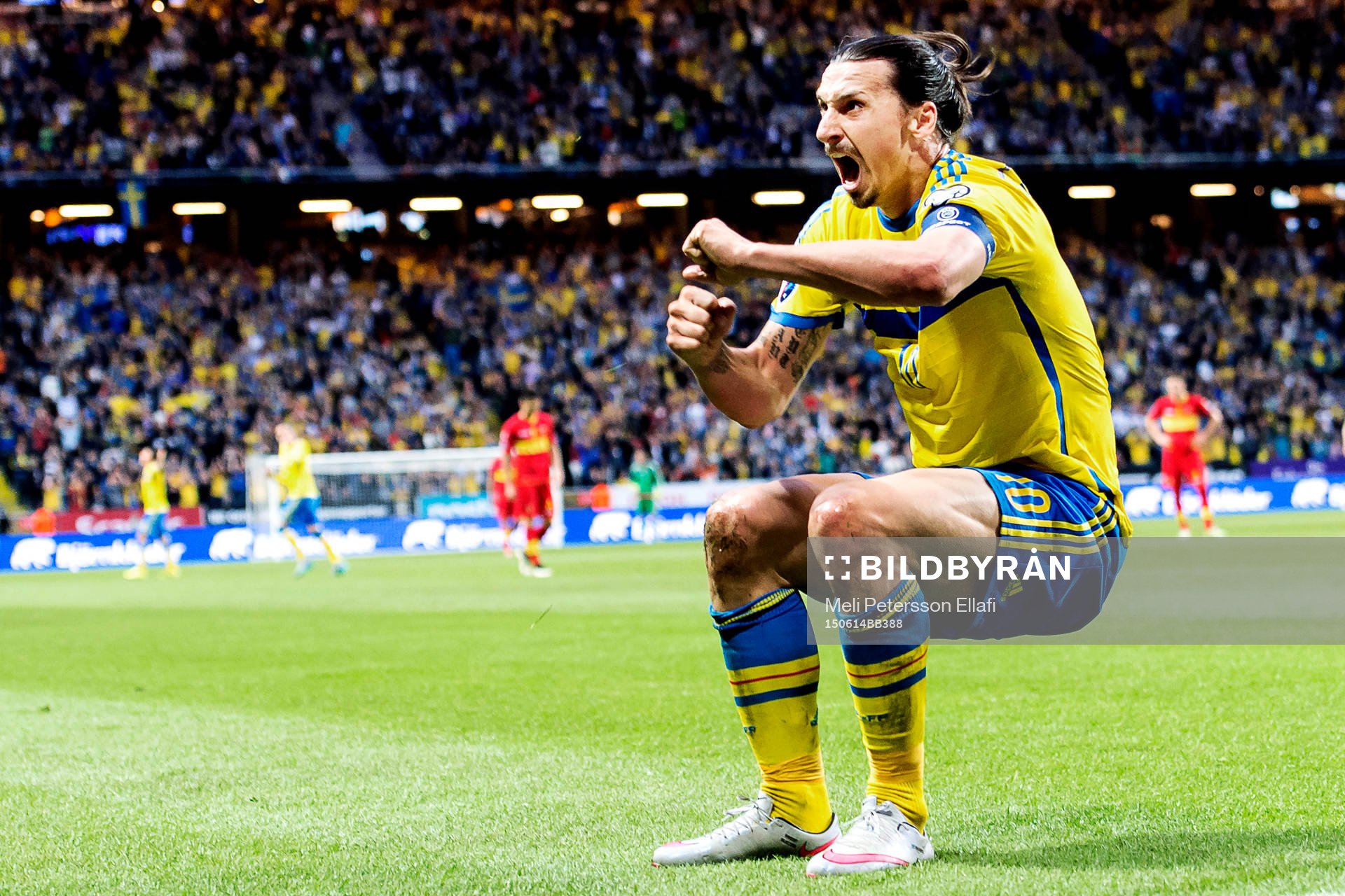 Sveriges Zlatan Ibrahimovic jublar och gör en