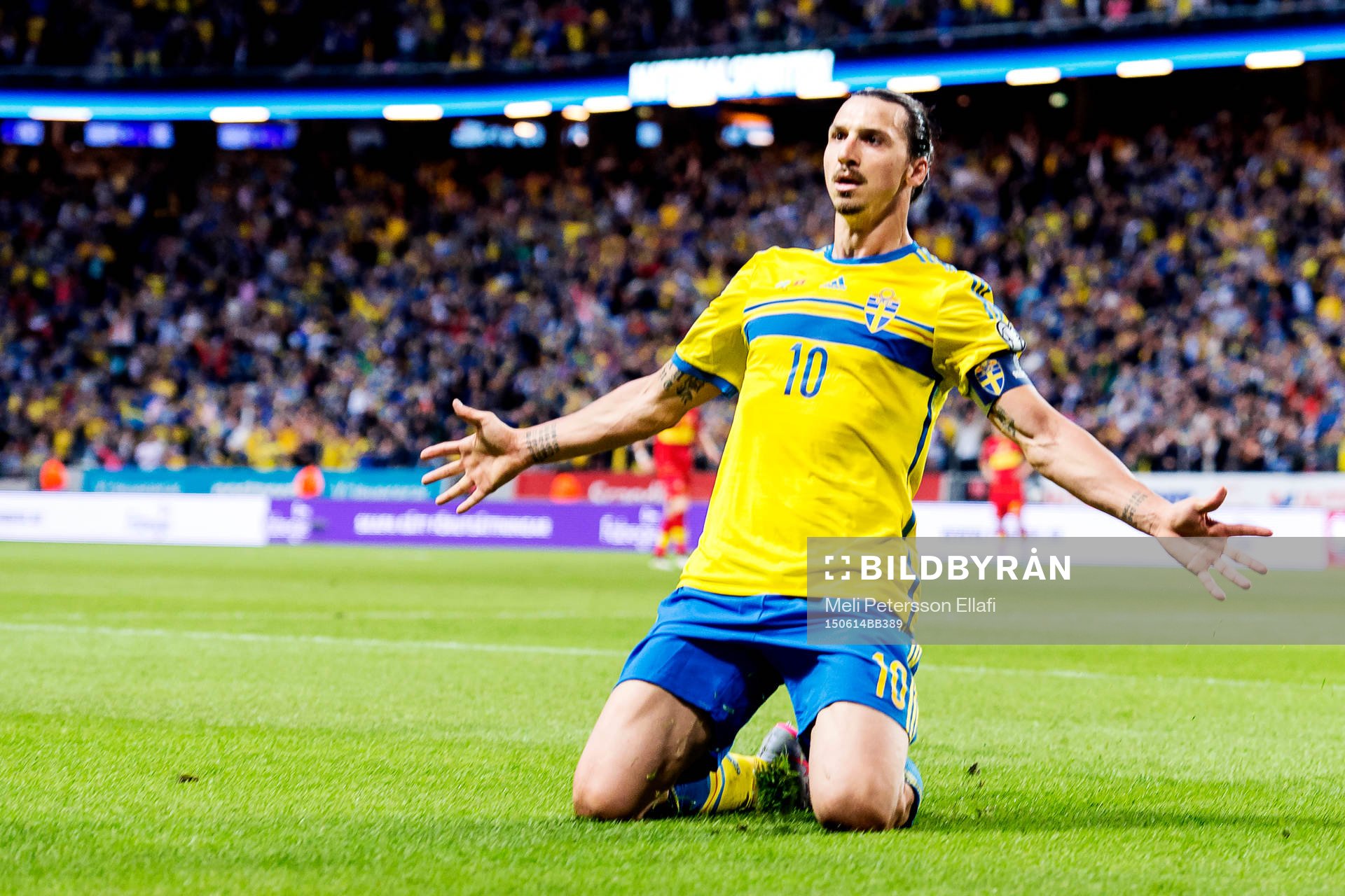 Sveriges Zlatan Ibrahimovic jublar