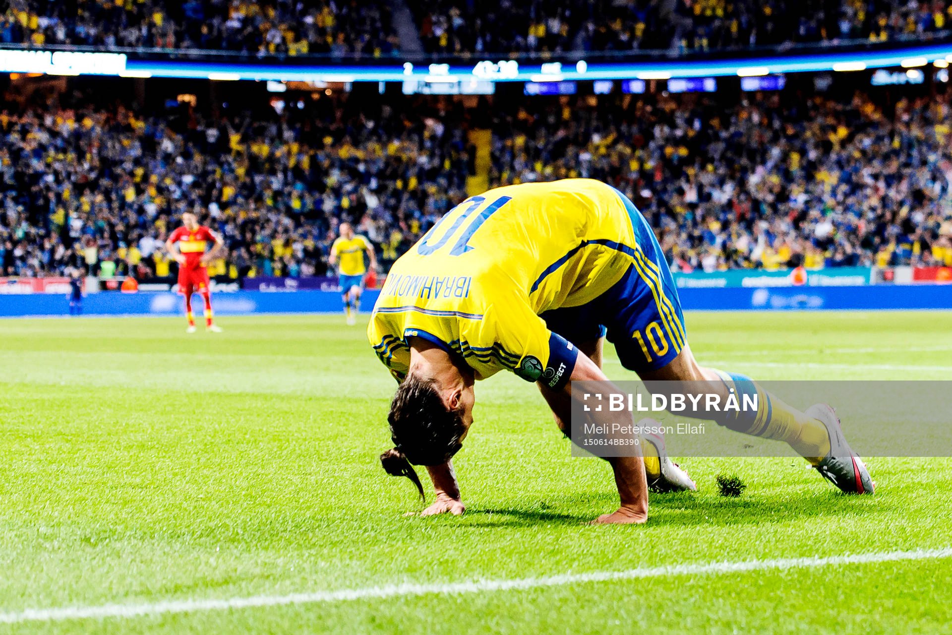 Sveriges Zlatan Ibrahimovic jublar och gör en