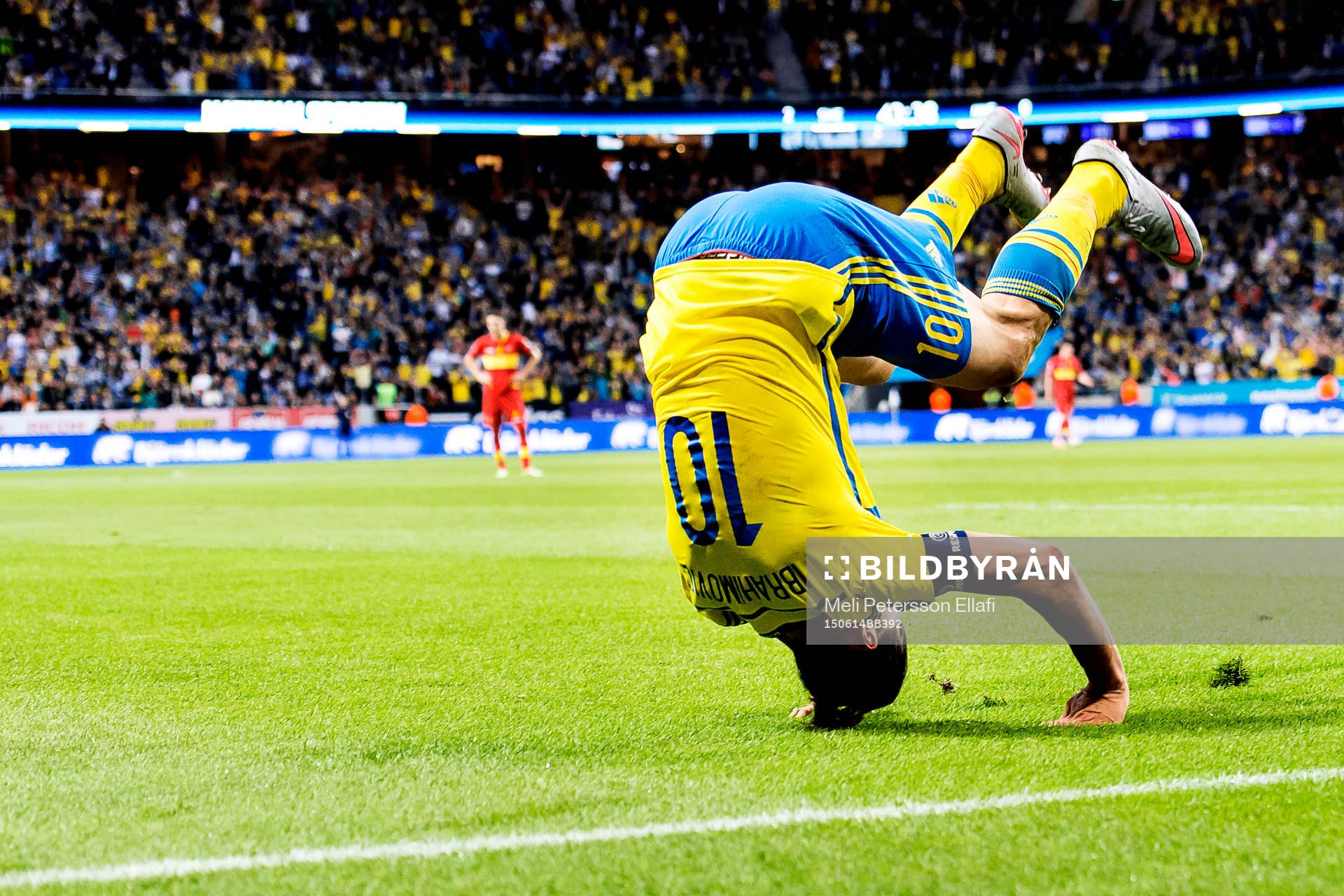Sveriges Zlatan Ibrahimovic jublar och gör en