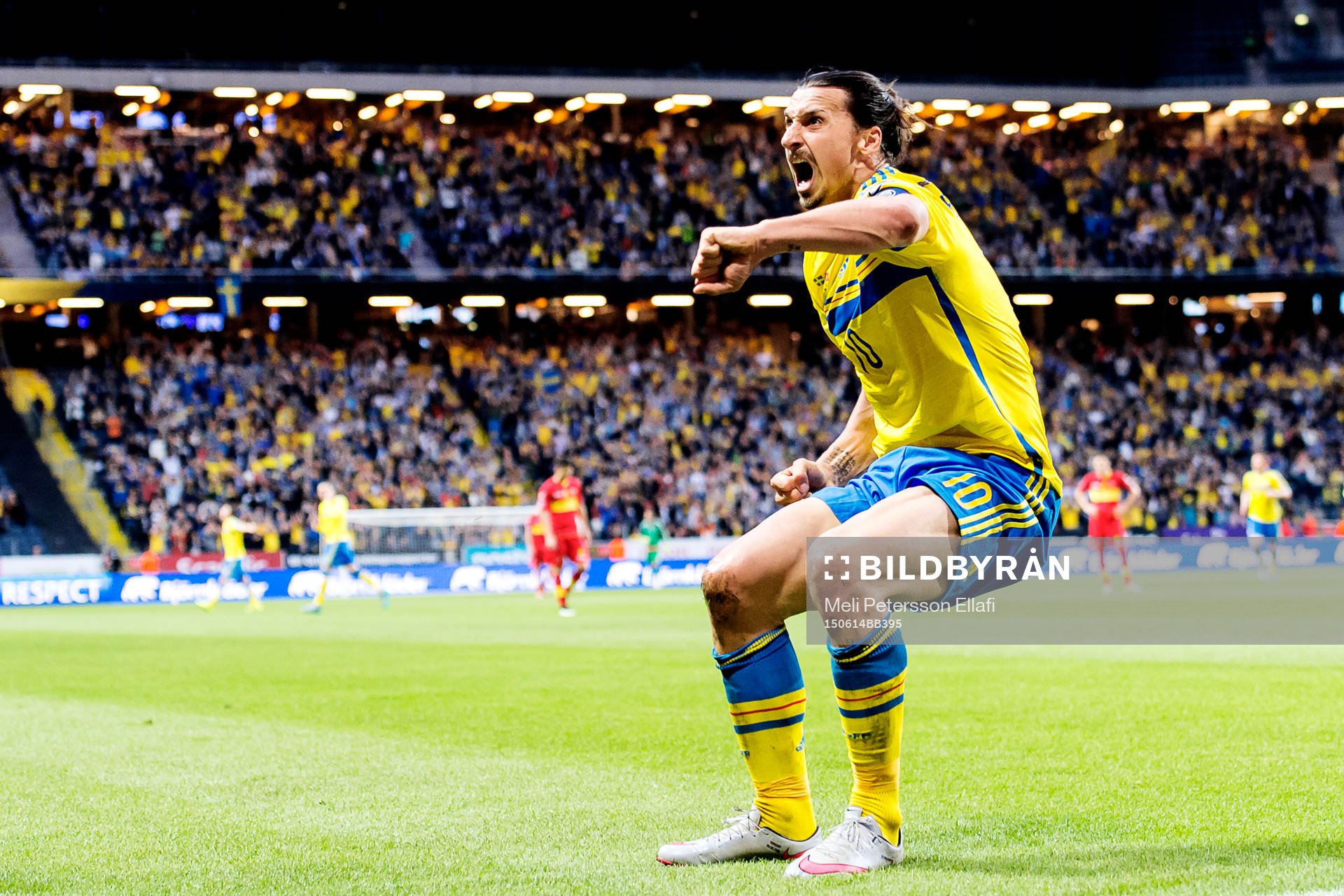 Sveriges Zlatan Ibrahimovic jublar och gör en