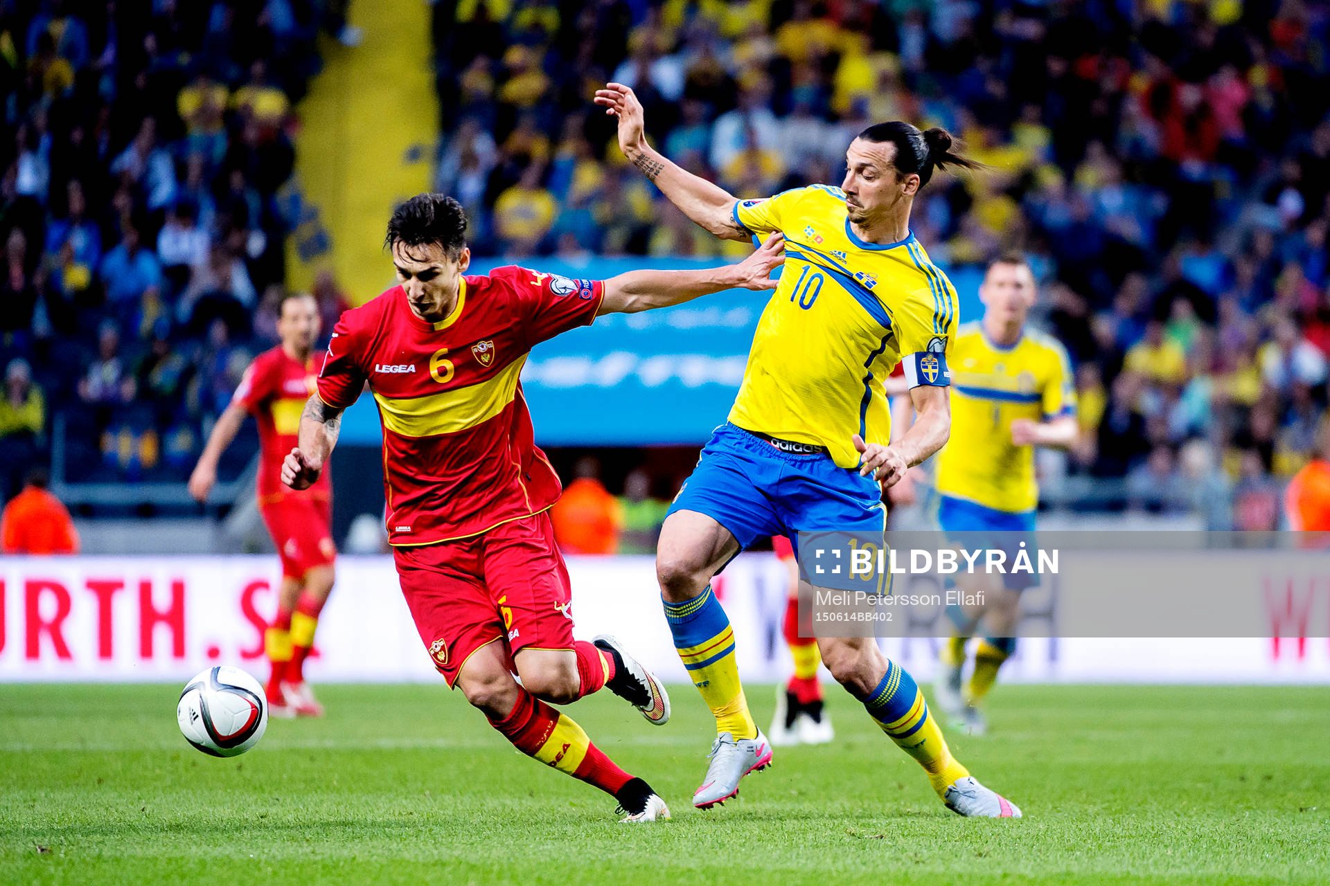 Montenegros Zarko Tomasevic och Sveriges Zlatan Ibrahimovic i en närkamp under EM-kvalet i fotboll mellan Sverige och Montenegro den 14 juni 2015 i Stockholm.