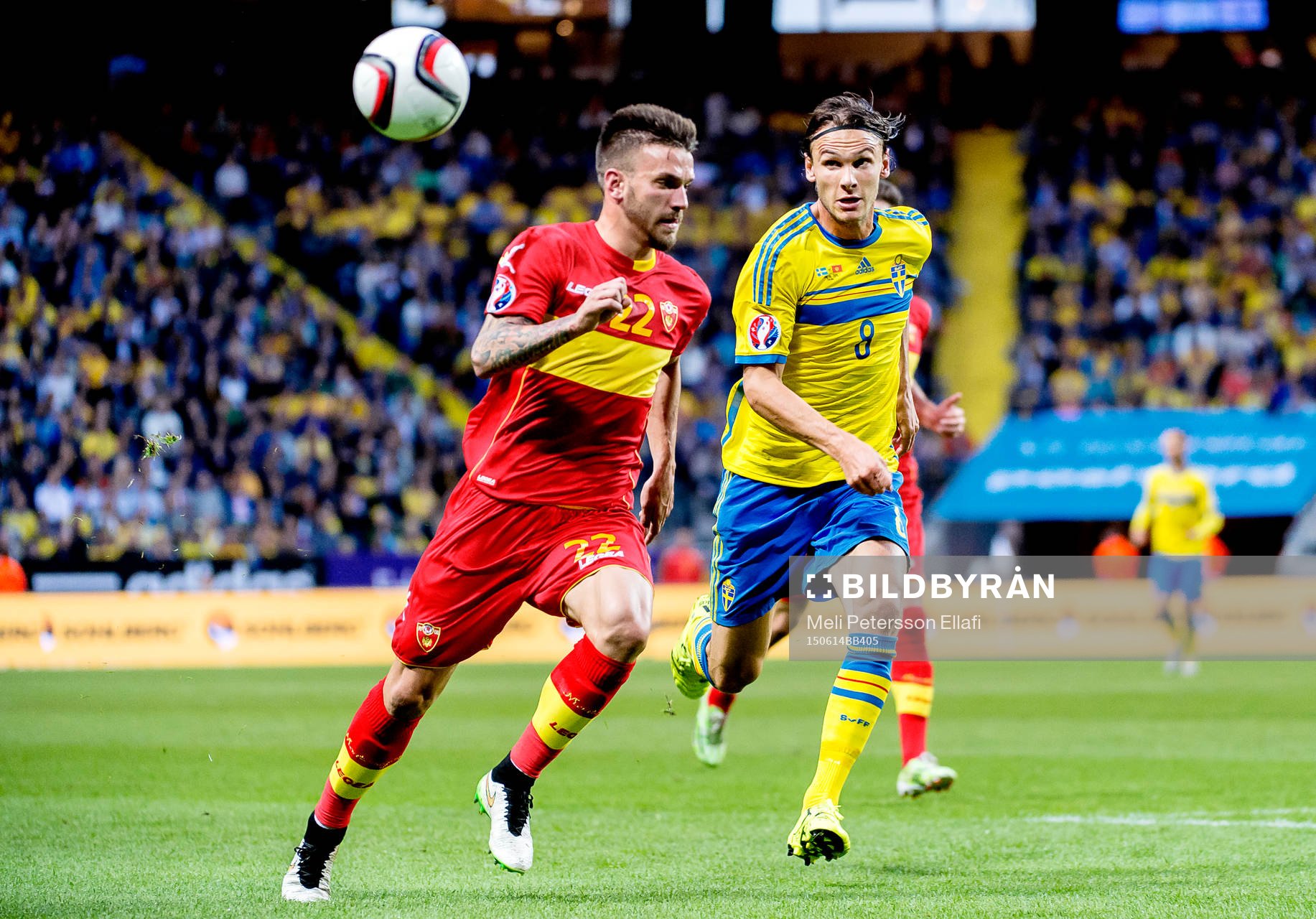 Montenegros Zarko Tomasevic och Sveriges Albin Ekdal