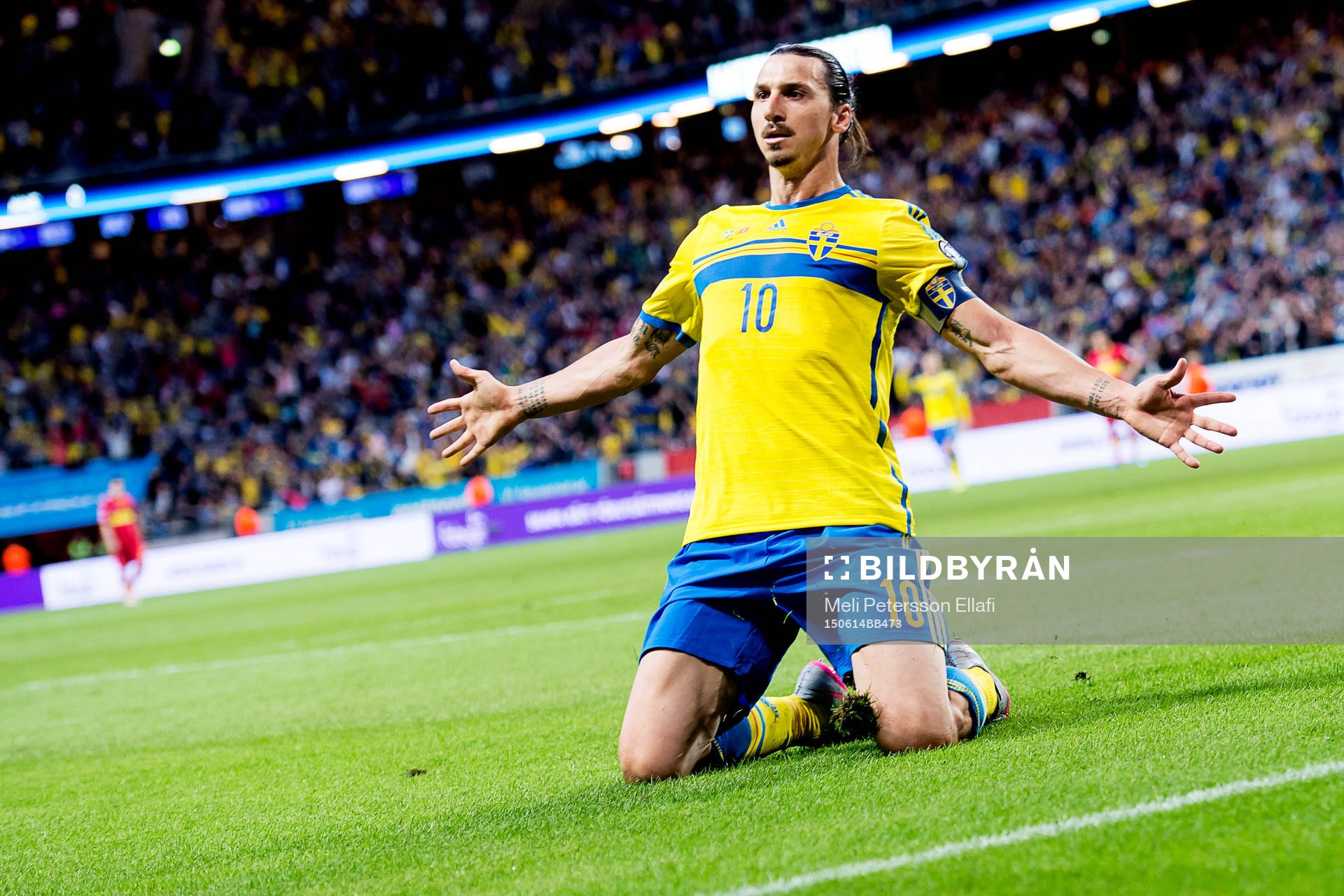 Sveriges Zlatan Ibrahimovic jublar