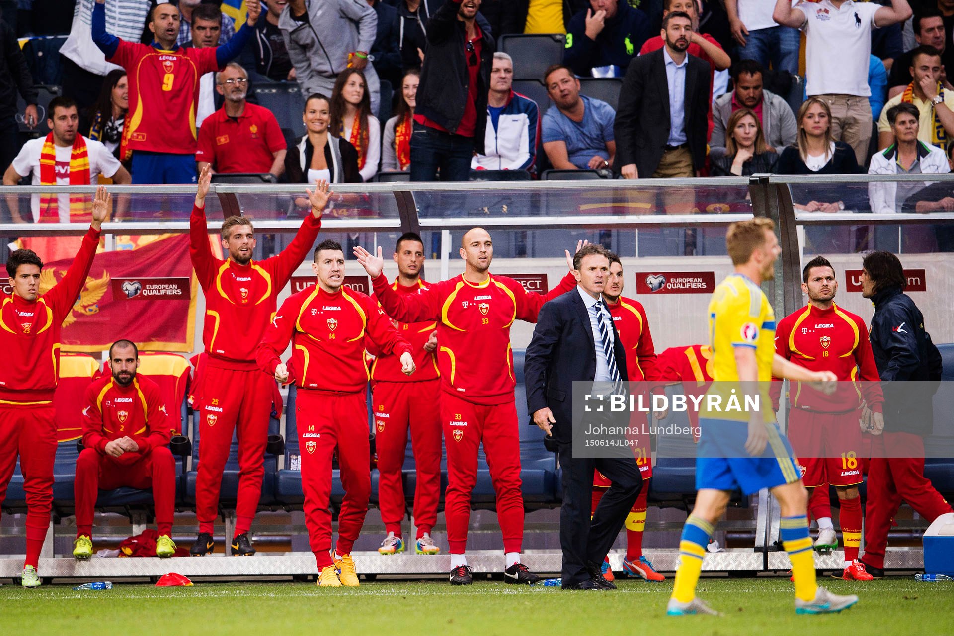 Montenegros bänk med förbundskapten Branko Brnovic