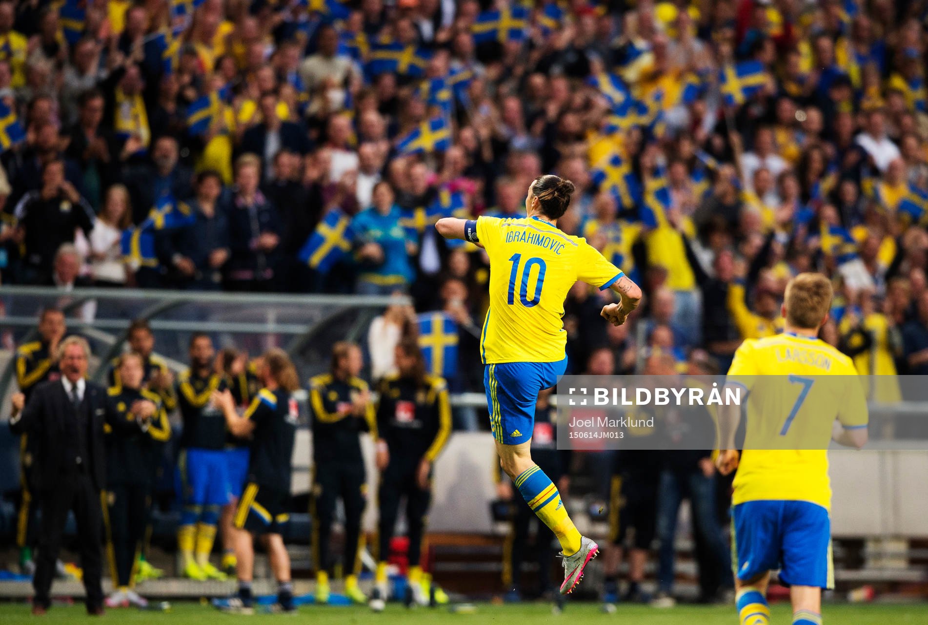Sveriges Zlatan Ibrahimovic jublar