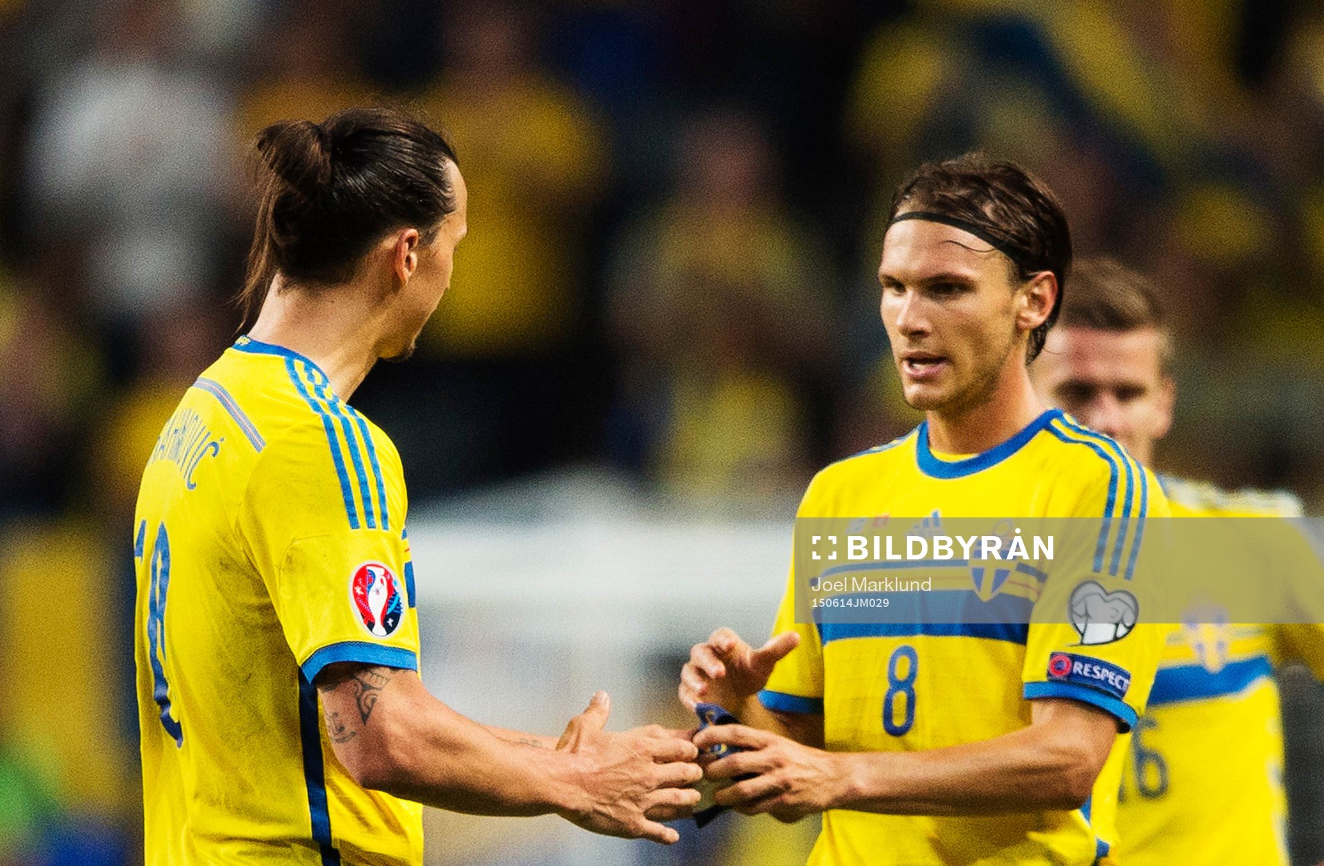 Sveriges Zlatan Ibrahimovic lämnar kaptensbindeln till Albin Ekdal när han blir utbytt under EM-kvalet i fotboll mellan Sverige och Montenegro den 14 juni 2015 i Stockholm.