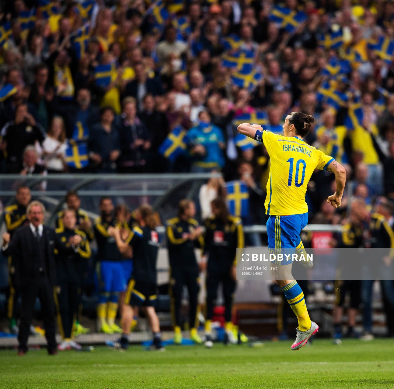 Sveriges Zlatan Ibrahimovic jublar