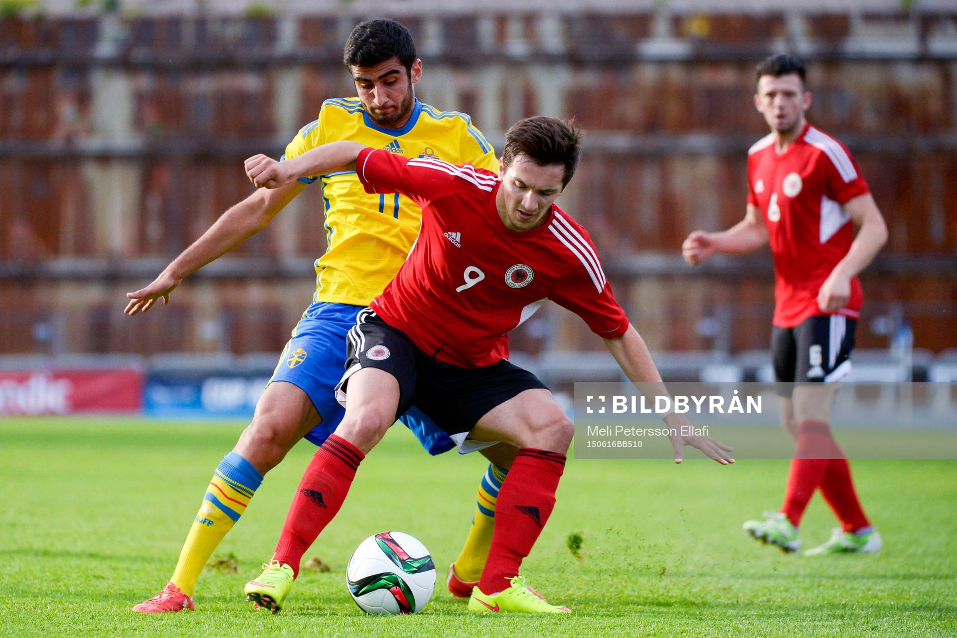Sveriges Ferhad Ayaz och Albaniens Liridon Latifi