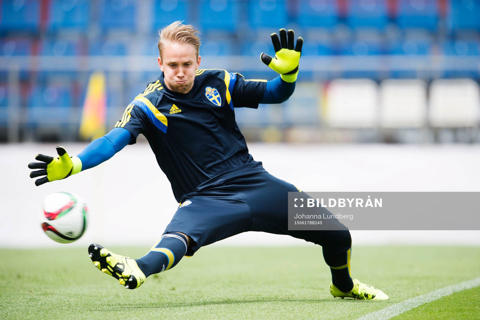 Sveriges målvakt Patrik Carlgren