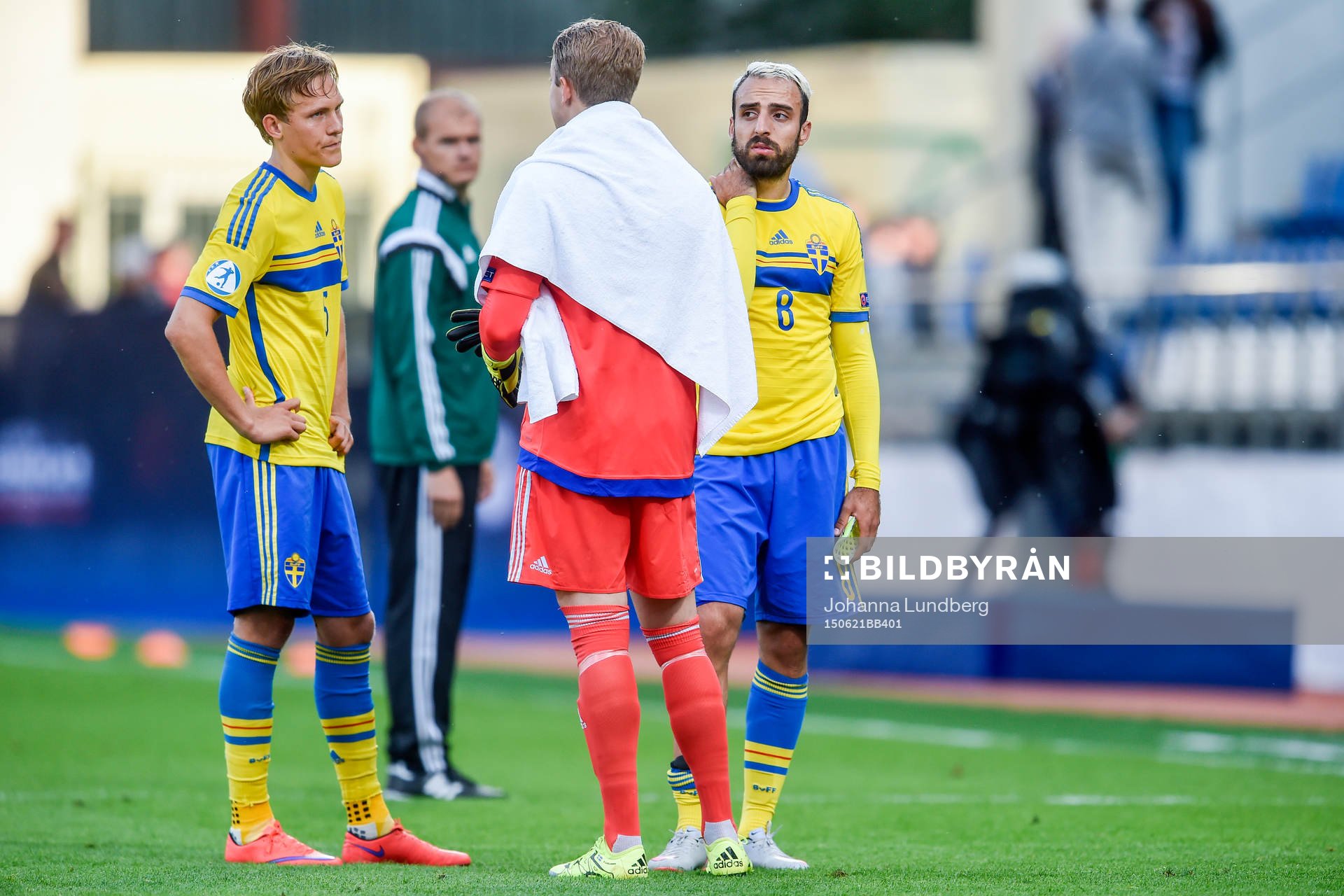 Sveriges målvakt Patrik Carlgren deppar med Ludwig