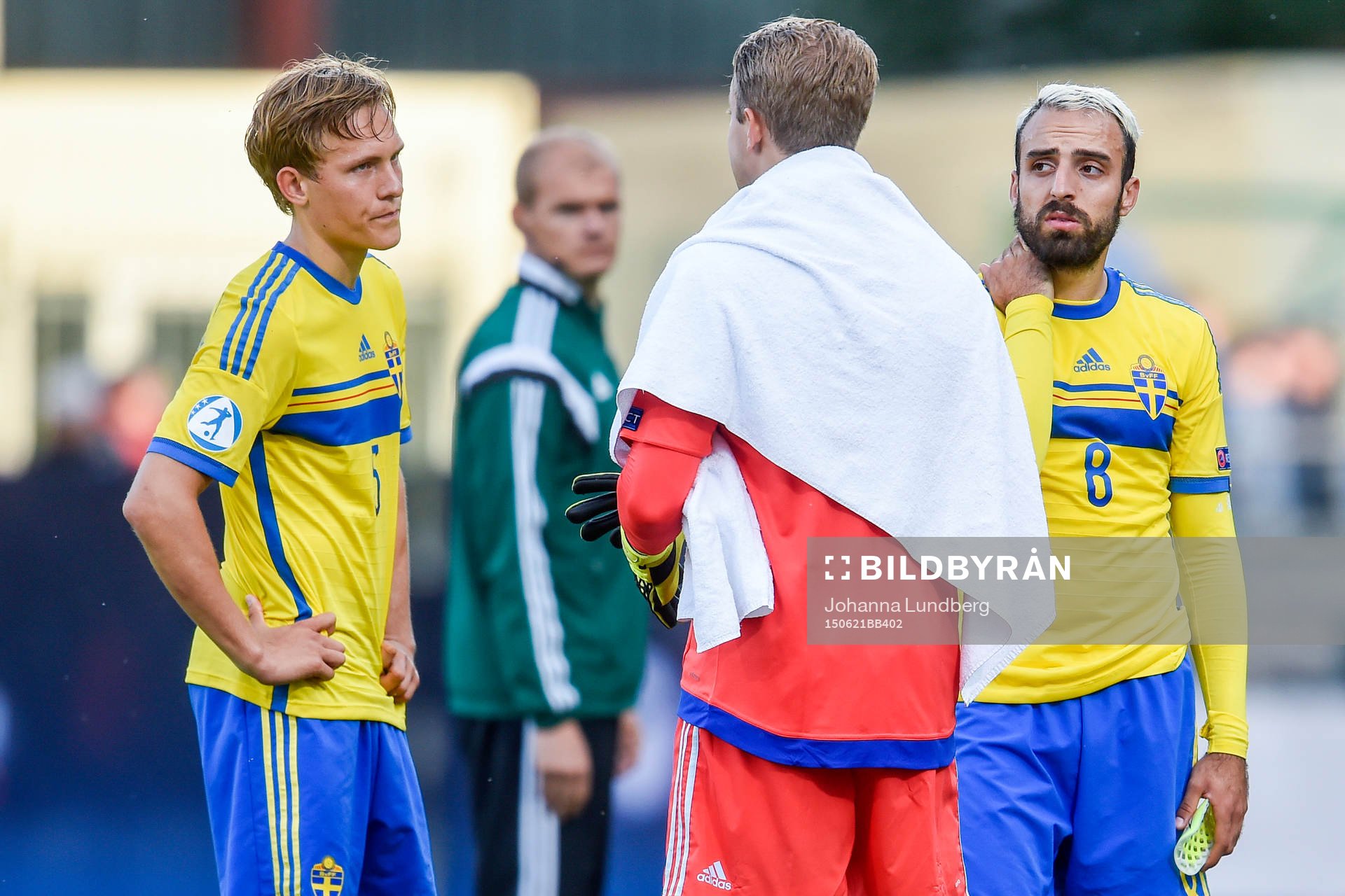Sveriges målvakt Patrik Carlgren deppar med Ludwig