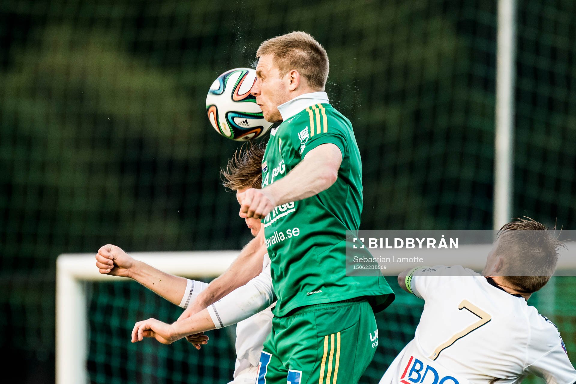 Ljungskiles Steven Old nickar