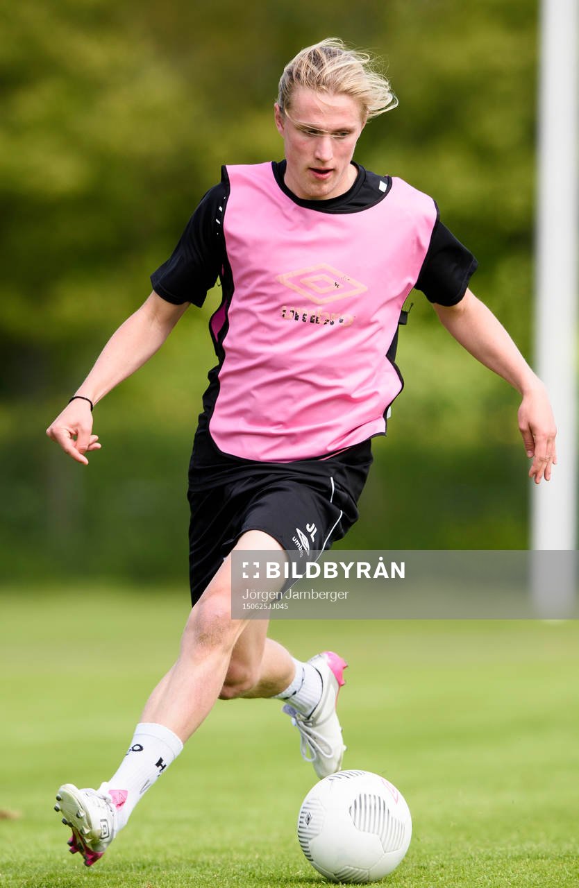 Elfsborgs Viktor Götesson