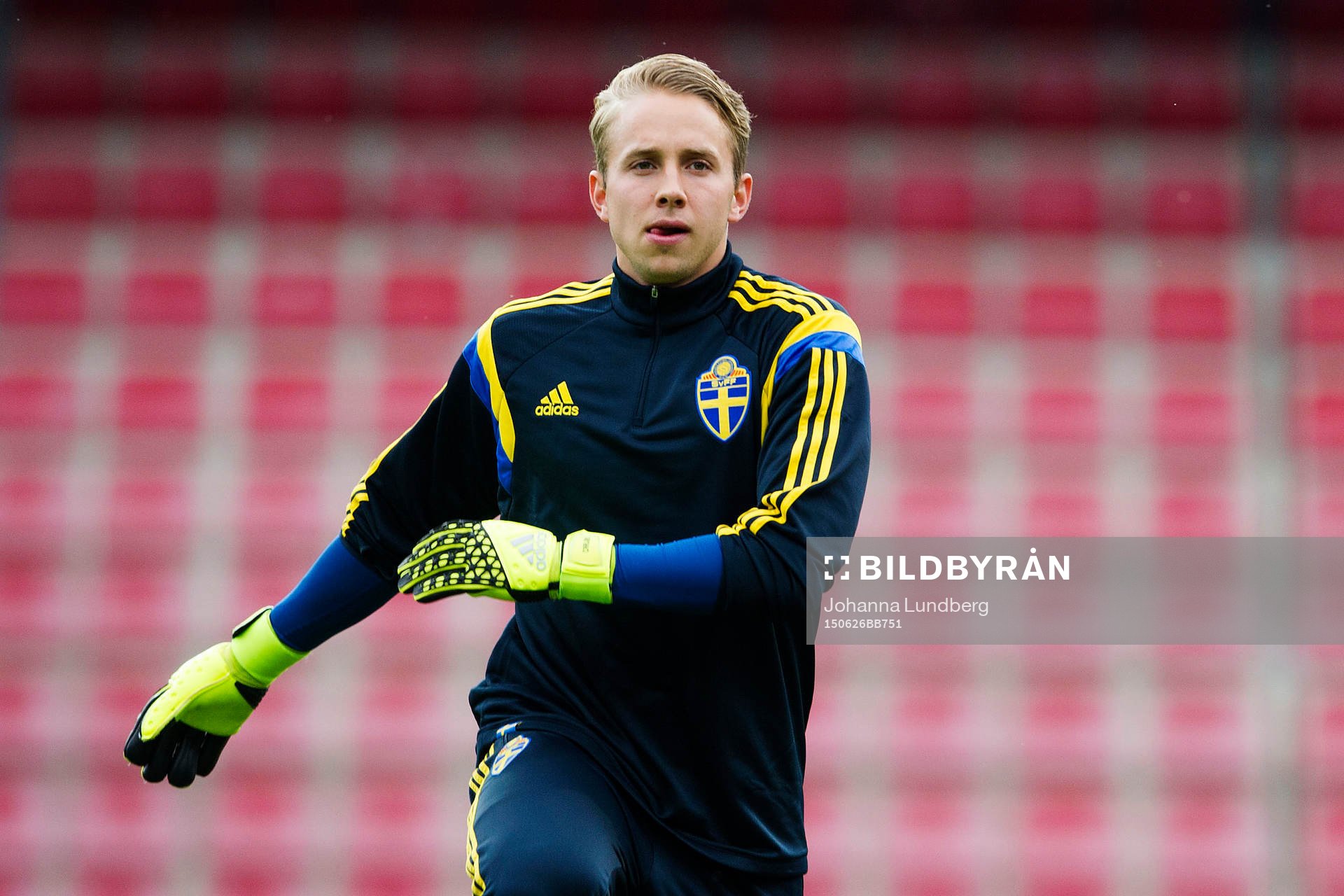Sveriges målvakt Patrik Carlgren