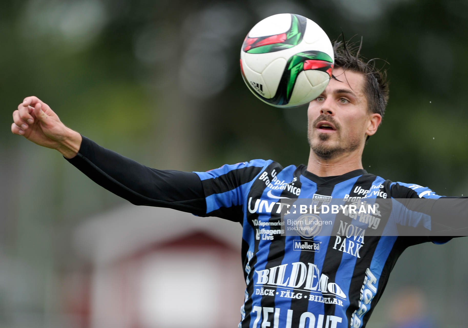 Sirius Ante Björkebaum
